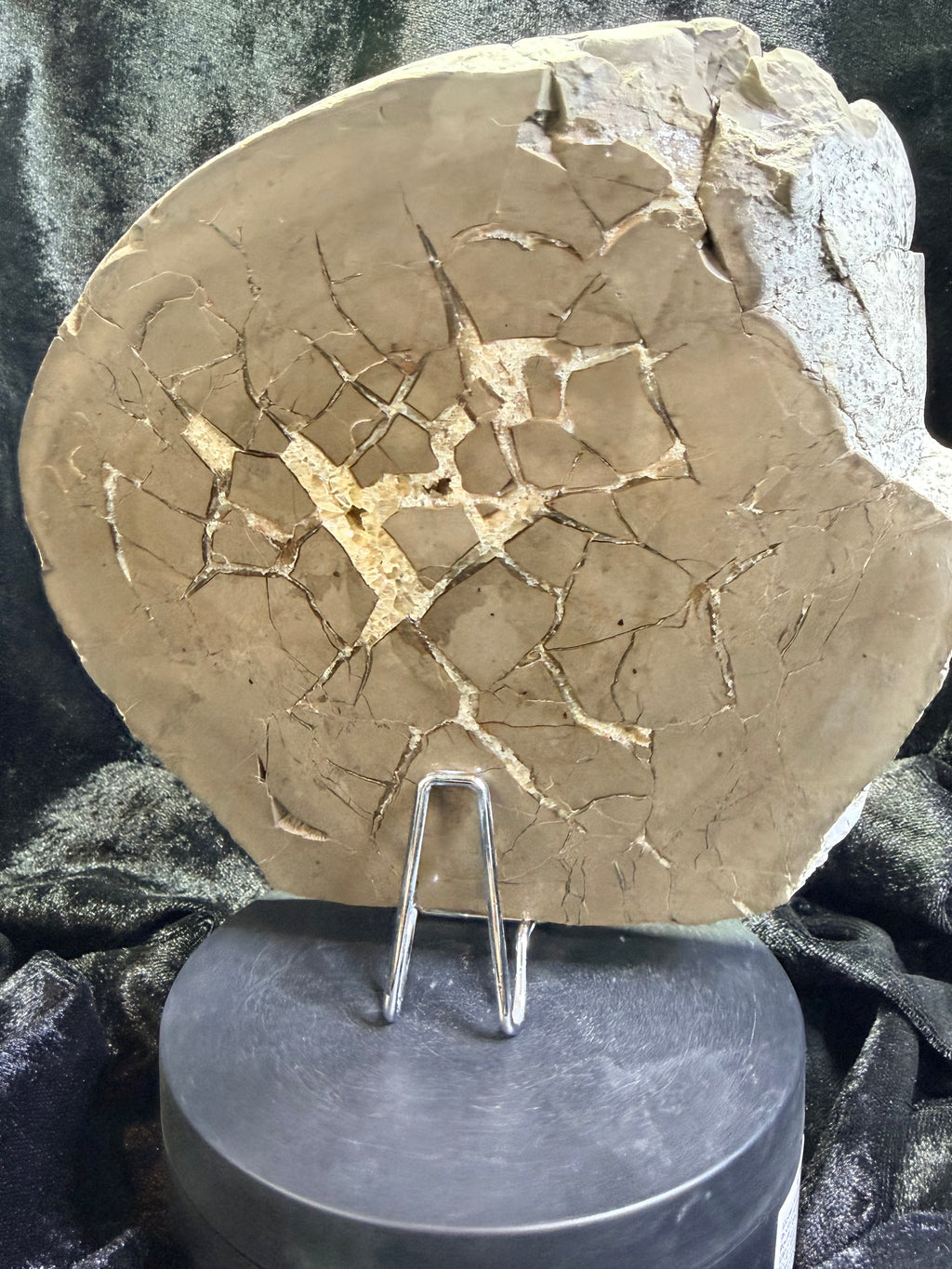Double-Sided Polished Septarian Slab — Utah, 7.25″