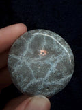 Blue Kyanite with Pyrite pop socket