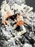 Melanite Garnet Cluster With Albite & Aegirine On Matrix