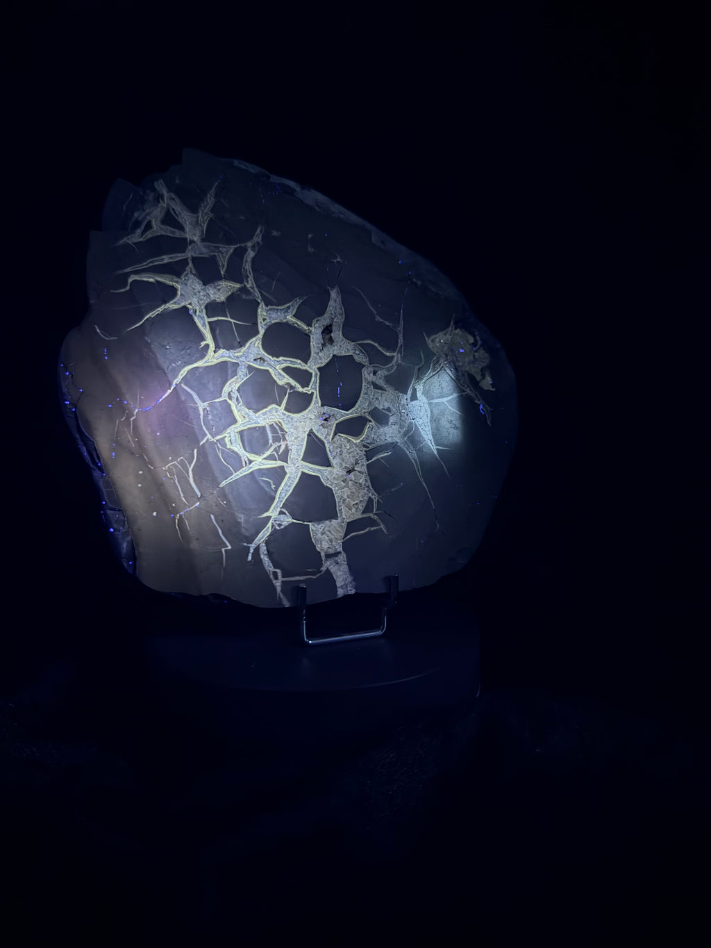 Double-Sided Polished Septarian Slab — Utah, 7.25″