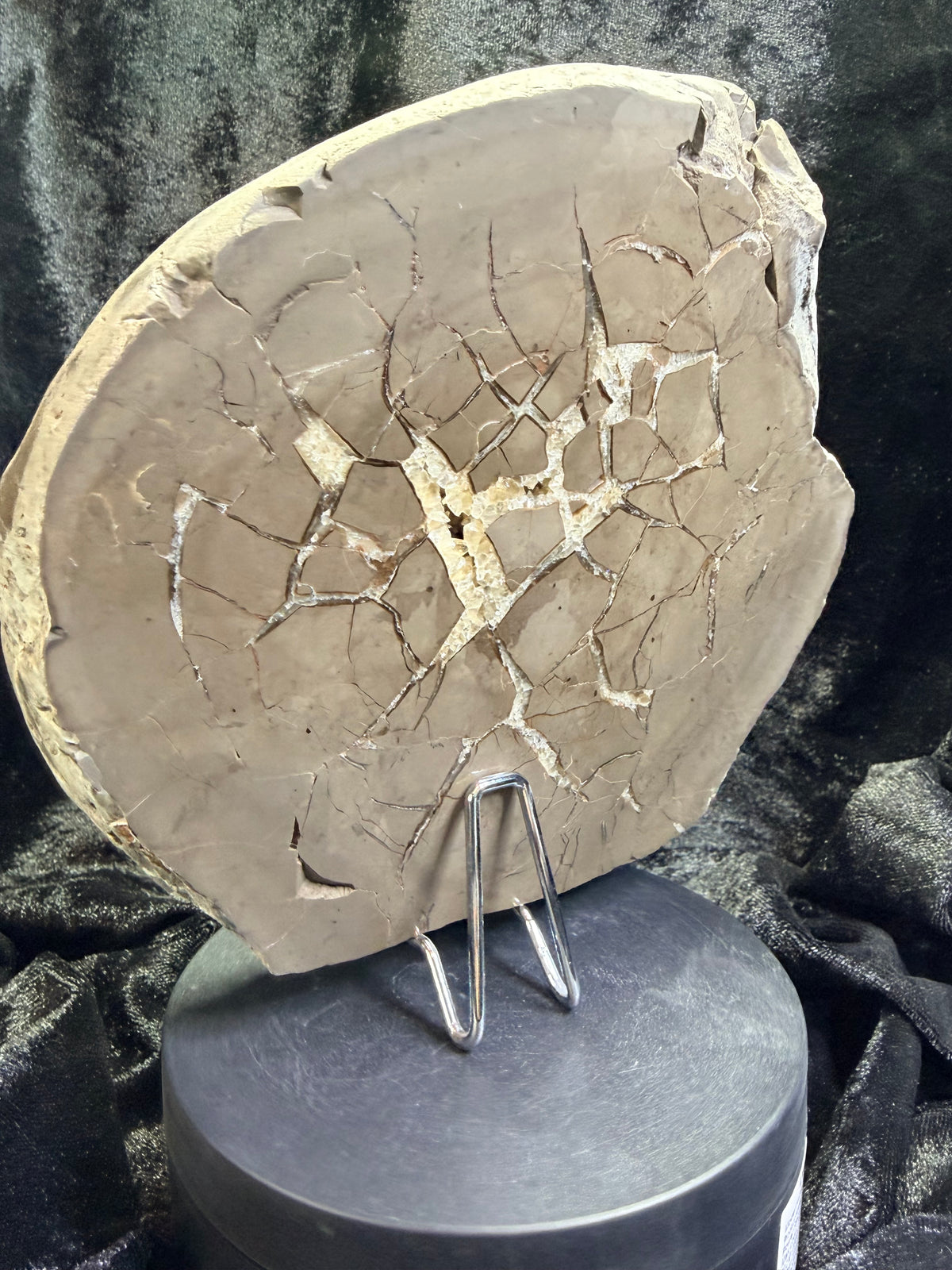 Double-Sided Polished Septarian Slab — Utah, 7.25″