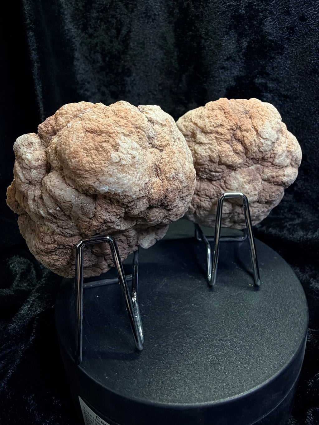 Raw Argentine Pink Amethyst Geode Matching Pair - 3.5" Natural Quartz Druzy Display Set with Stands