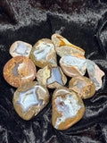 Polished Thunder eggs