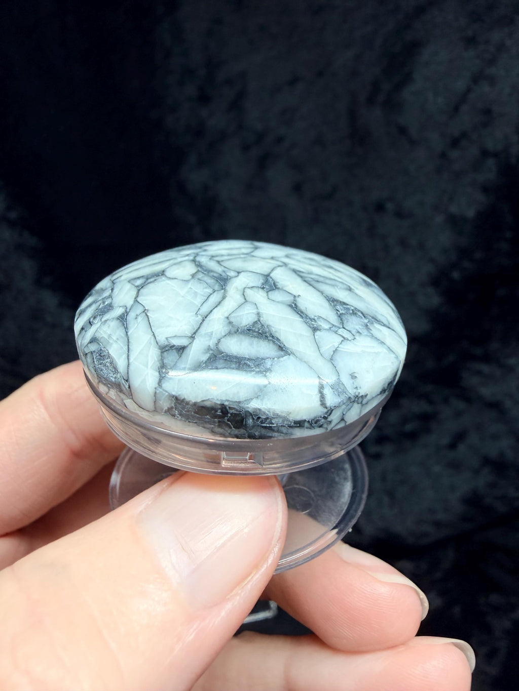 Rare Pinolith pop socket