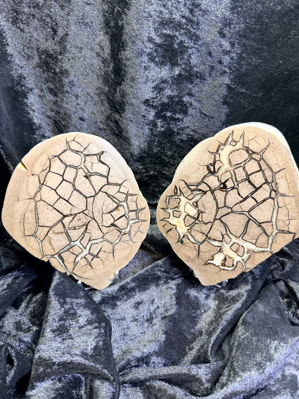 Polished Utah Septarian Nodule Matching Pair - 6.5" Cut Interlocking "Dragon Egg" Display Set (Repaired)