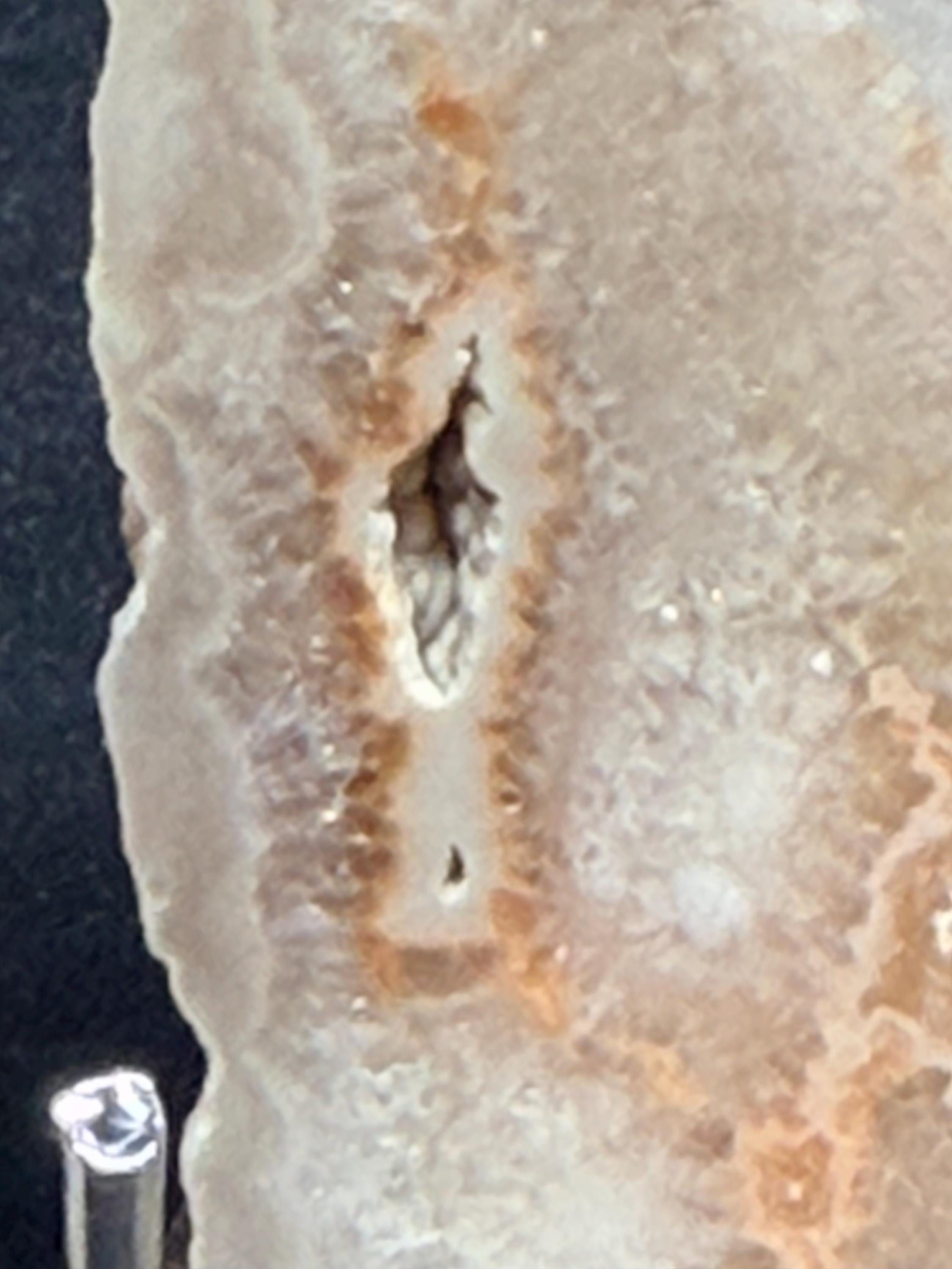 Polished Kentucky Agate / Chalcedony Nodule Matched Pair – Druzy Quartz Cavities