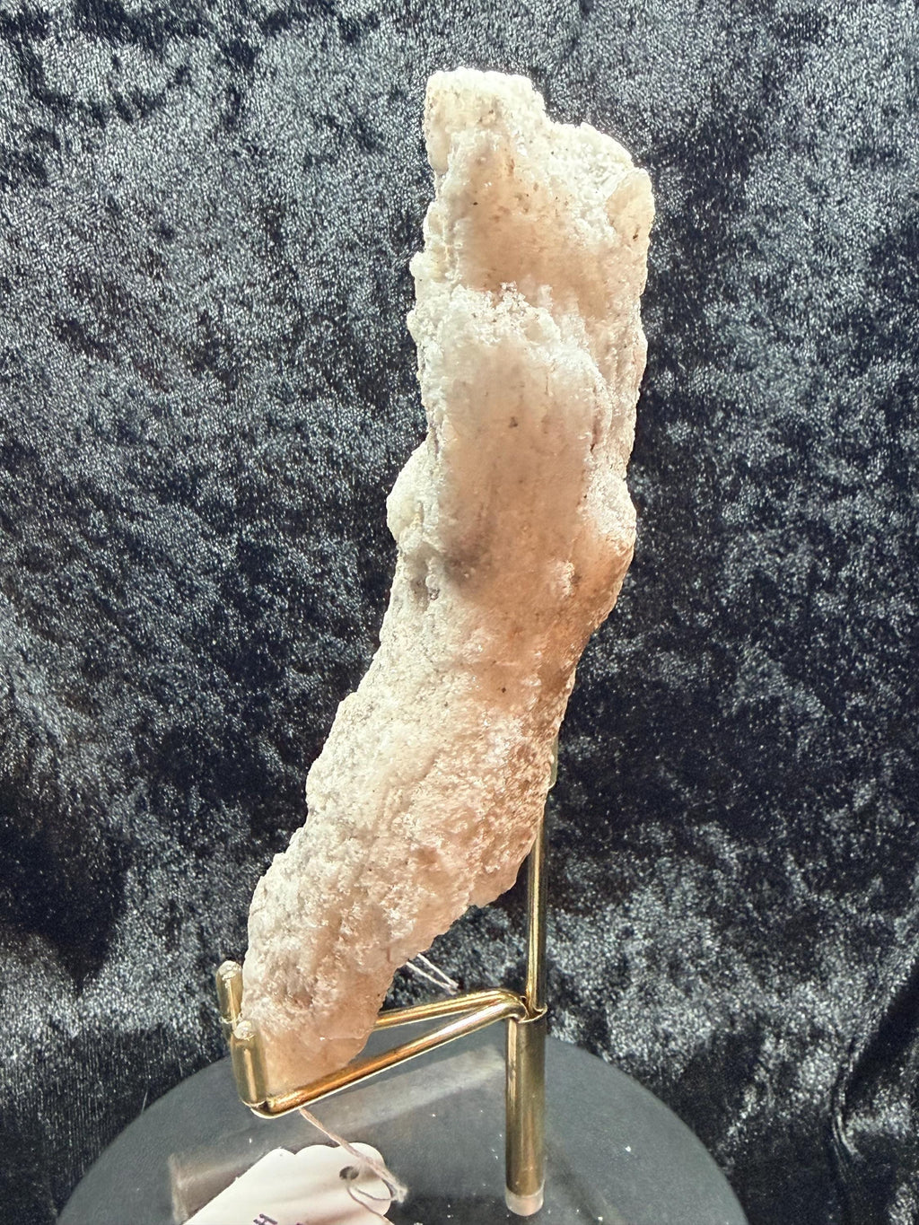 Ram’s Horn Selenite, Morocco.