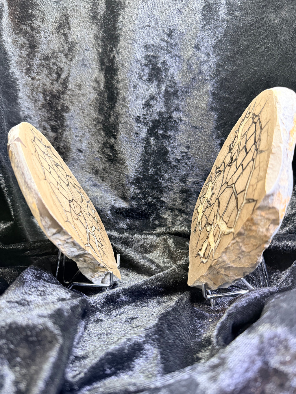 Polished Utah Septarian Nodule Matching Pair - 6.5" Cut Interlocking "Dragon Egg" Display Set (Repaired)
