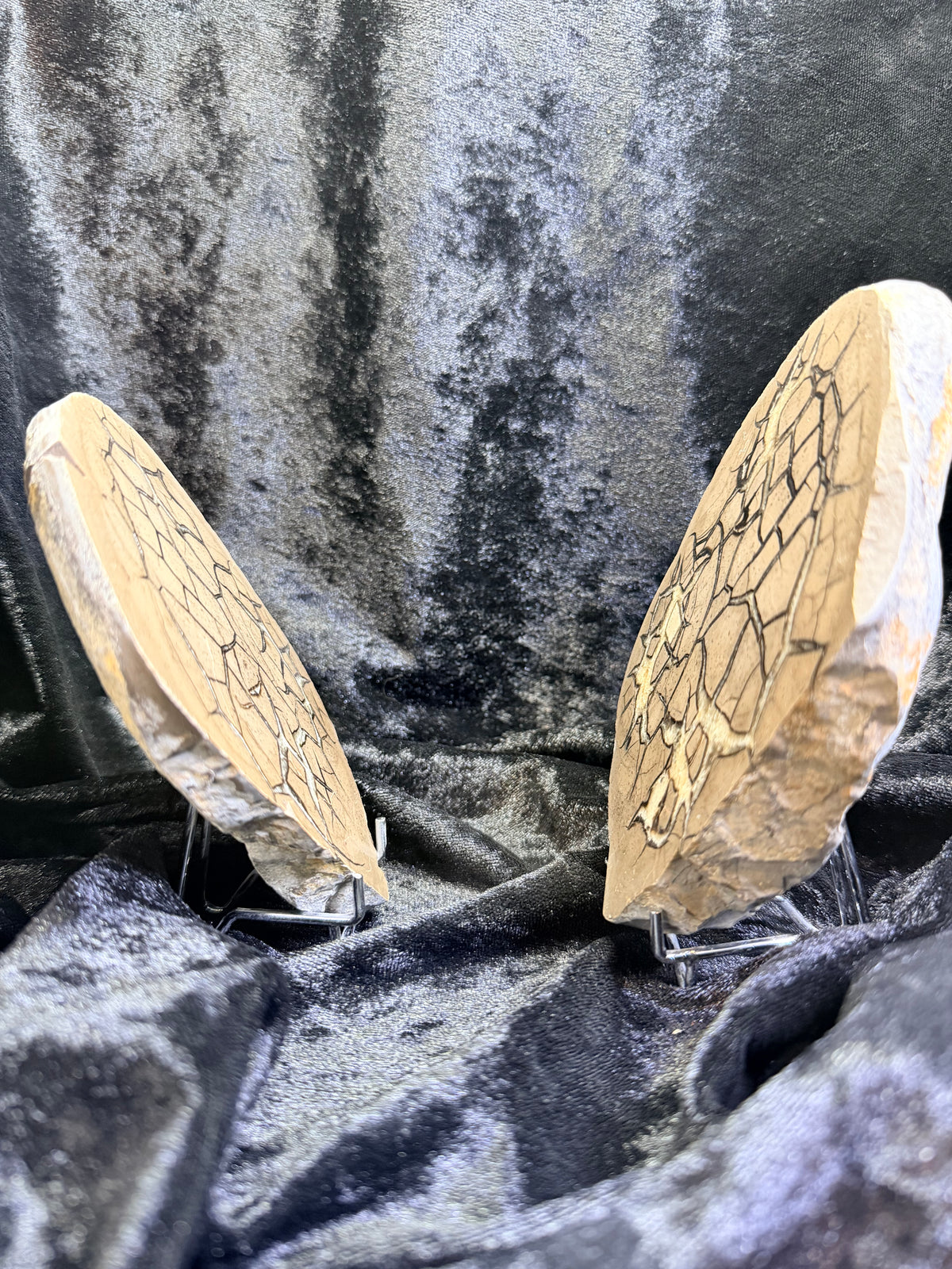 Polished Utah Septarian Nodule Matching Pair - 6.5" Cut Interlocking "Dragon Egg" Display Set (Repaired)