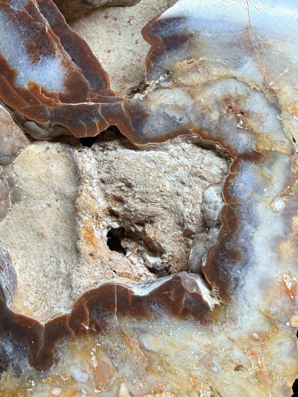 Polished Kentucky agate