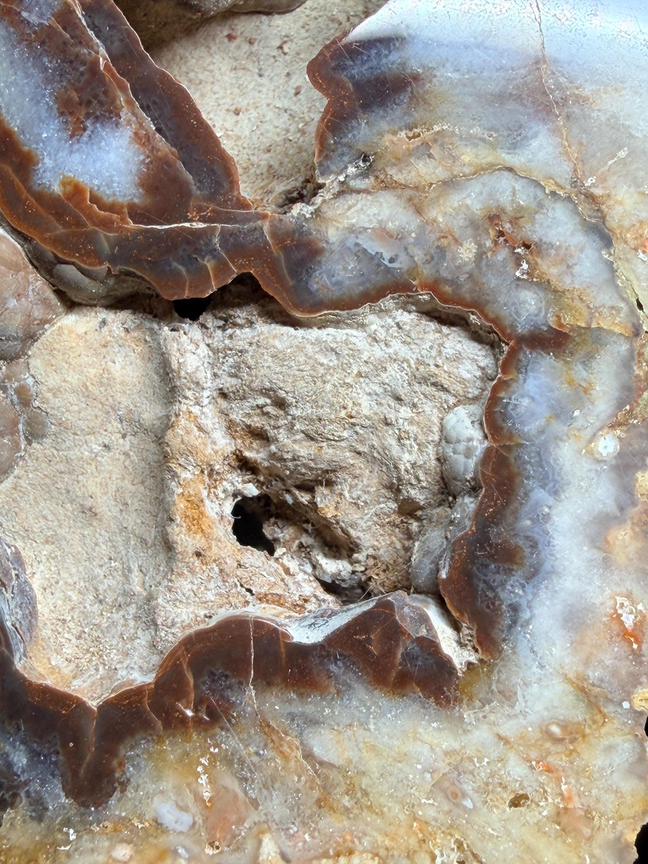 Polished Kentucky agate