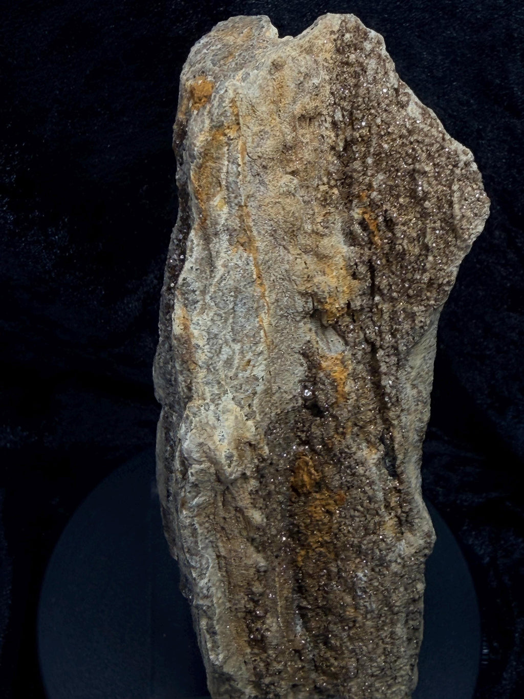 Brilliant Alabama petrified wood with micro druse.