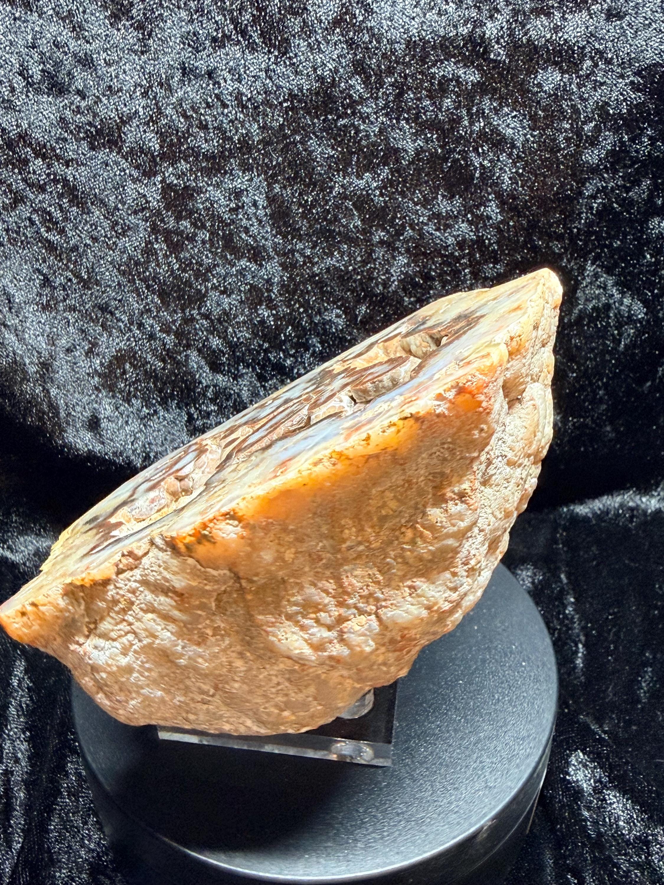 Polished Kentucky agate