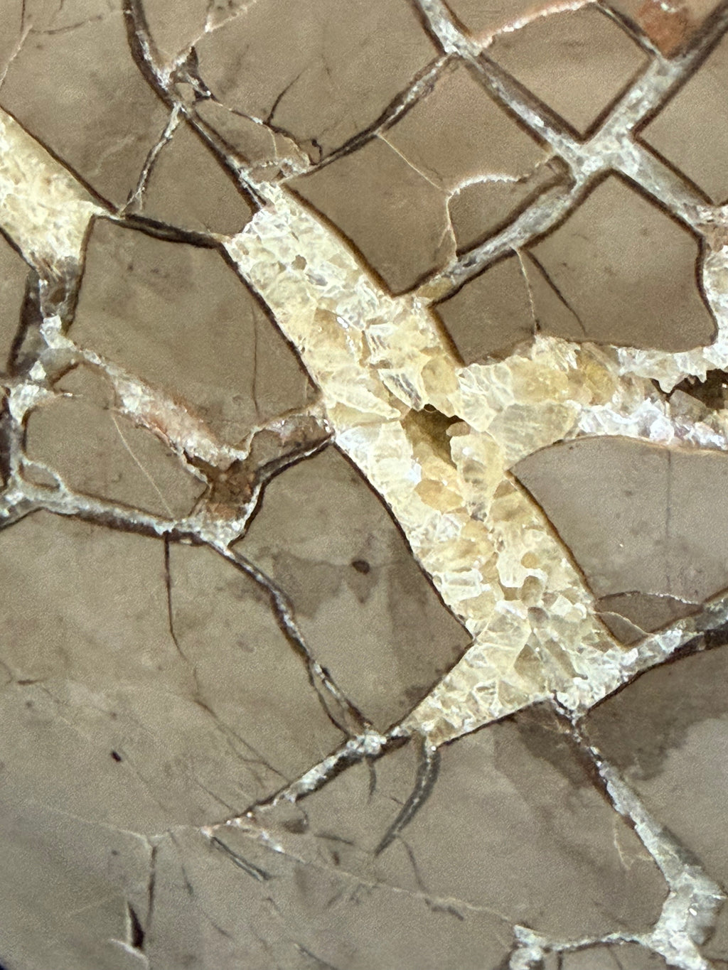 Double-Sided Polished Septarian Slab — Utah, 7.25″