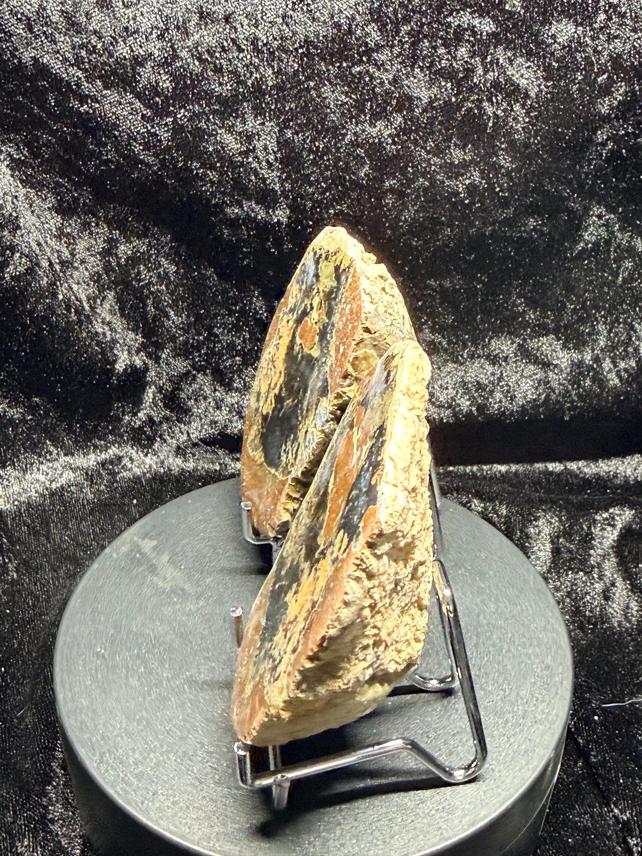 Polished Thunder egg matched pair