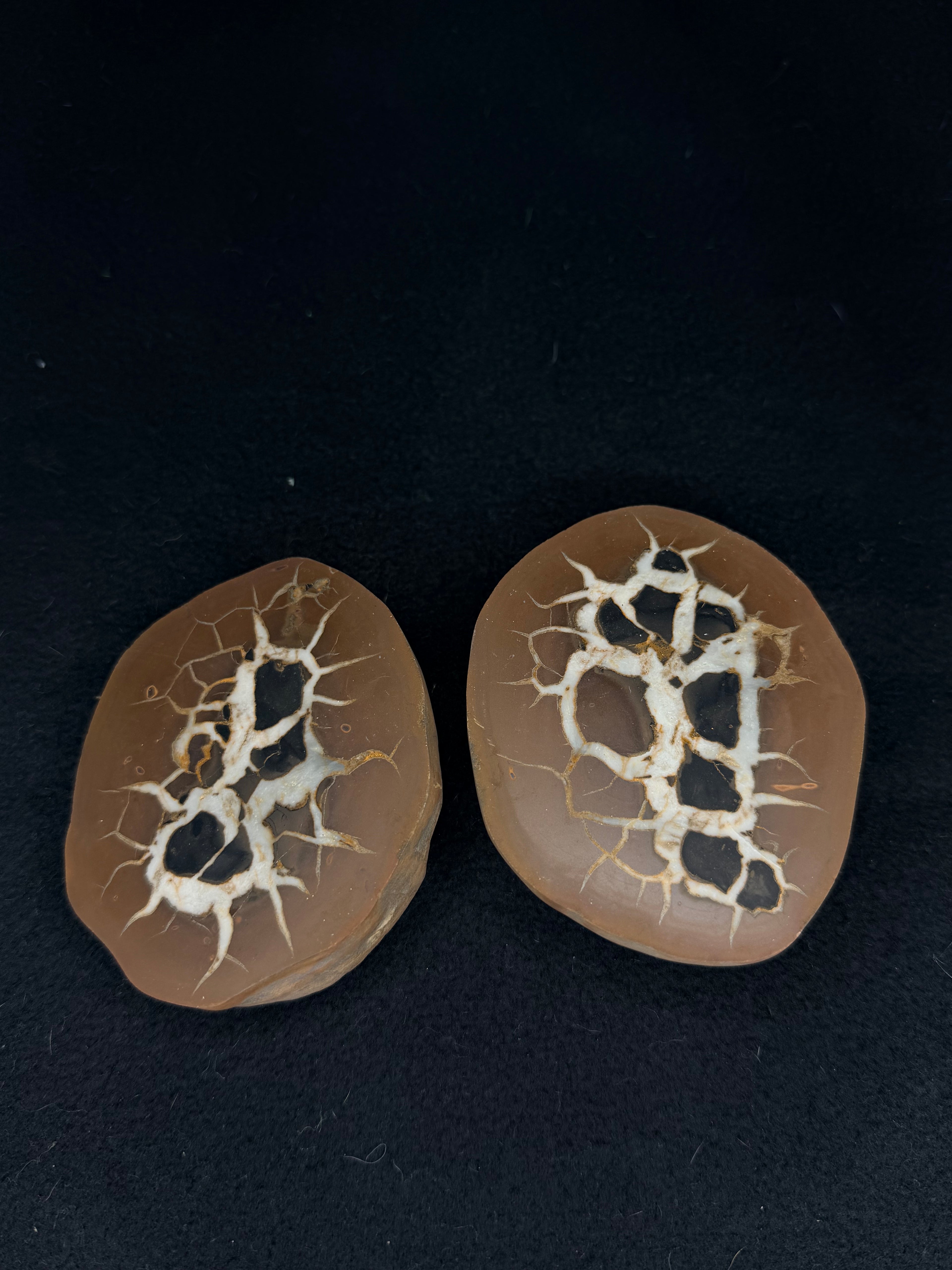 Moroccan Septarian nodule, a.k.a. lightning stone