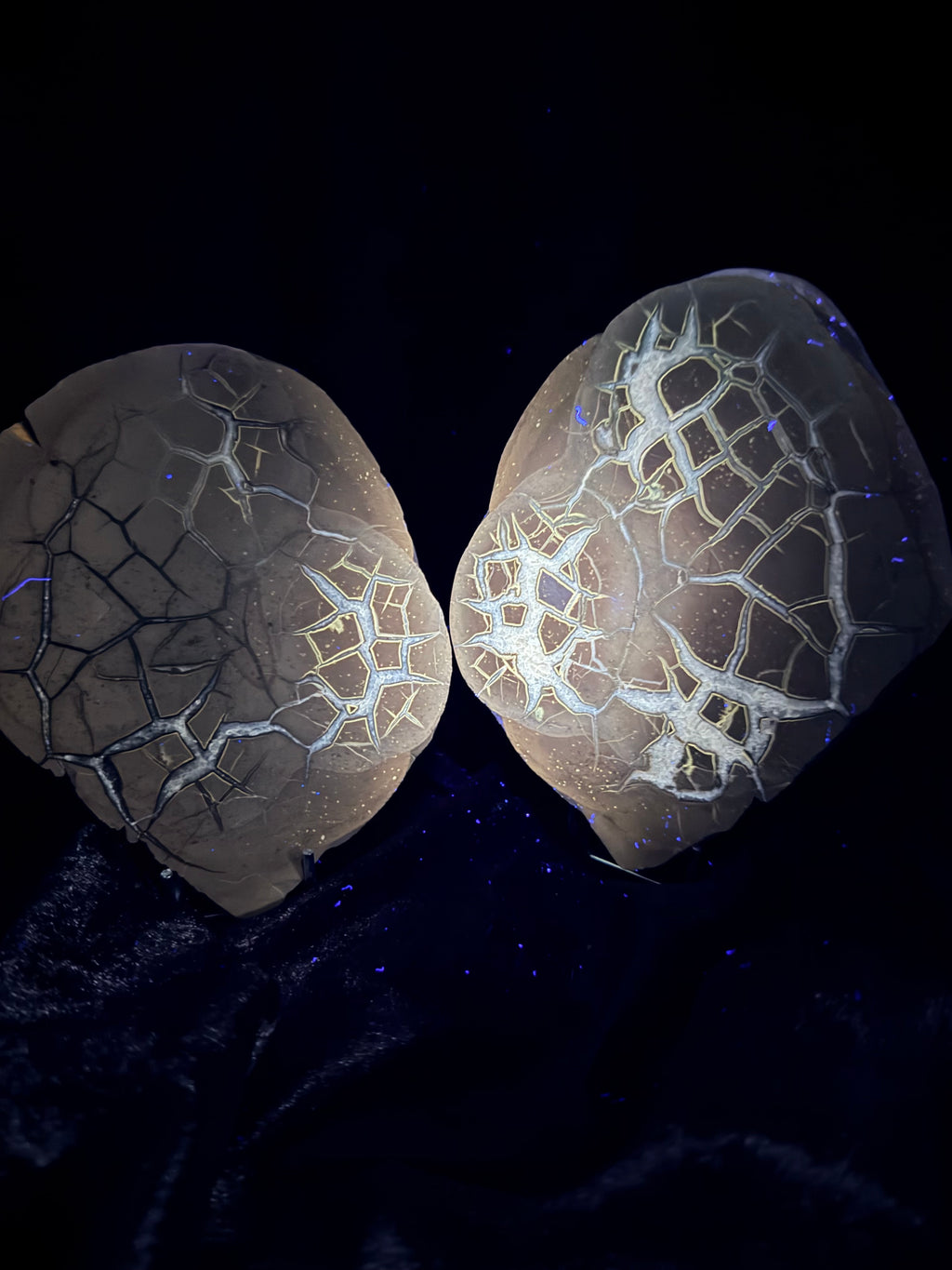 Polished Utah Septarian Nodule Matching Pair - 6.5" Cut Interlocking "Dragon Egg" Display Set (Repaired)