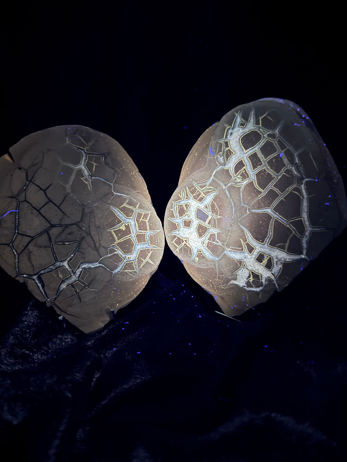 Polished Utah Septarian Nodule Matching Pair - 6.5" Cut Interlocking "Dragon Egg" Display Set (Repaired)