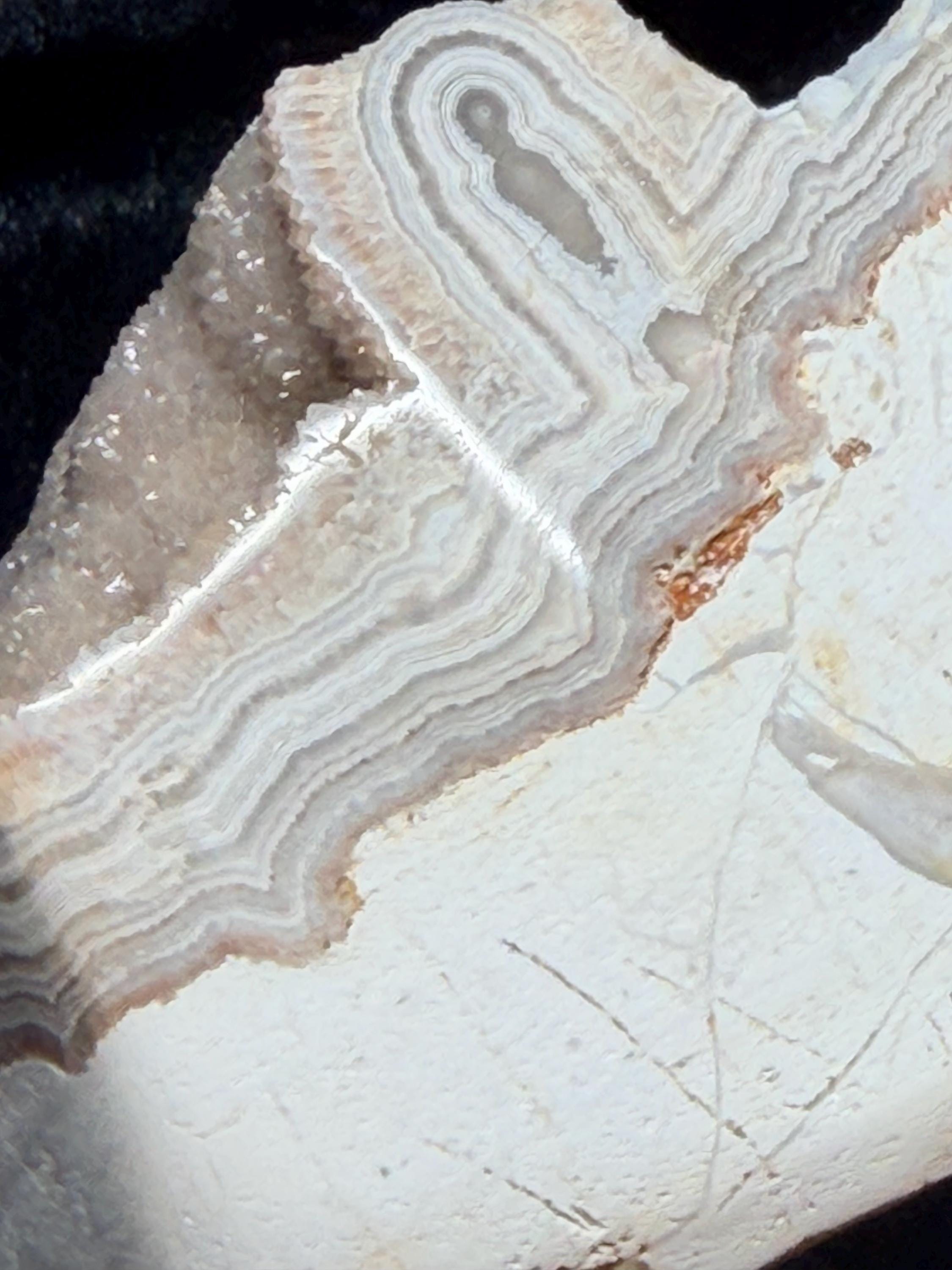Polished Summerville agate from Patty’s Pit Ga.