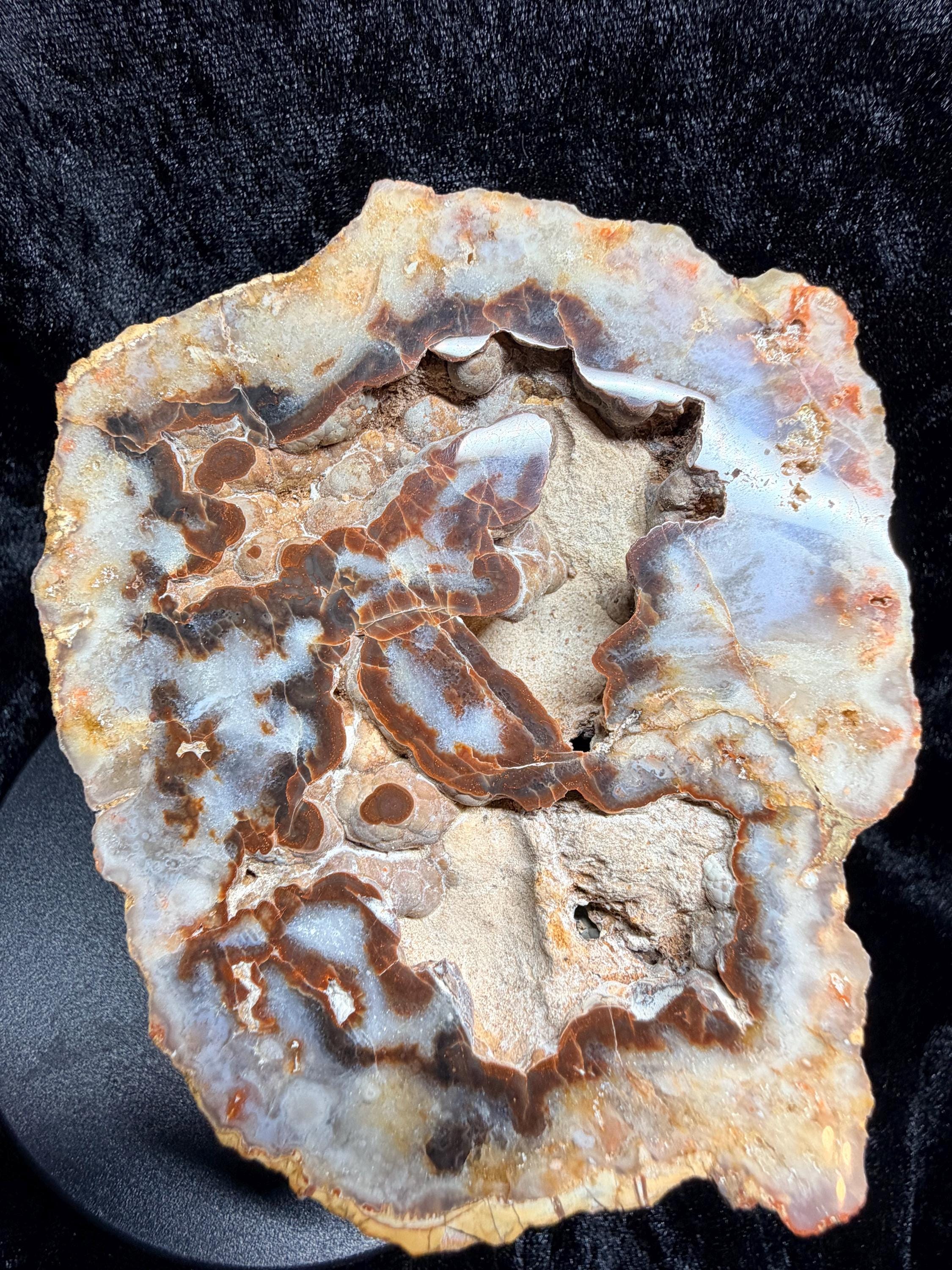 Polished Kentucky agate