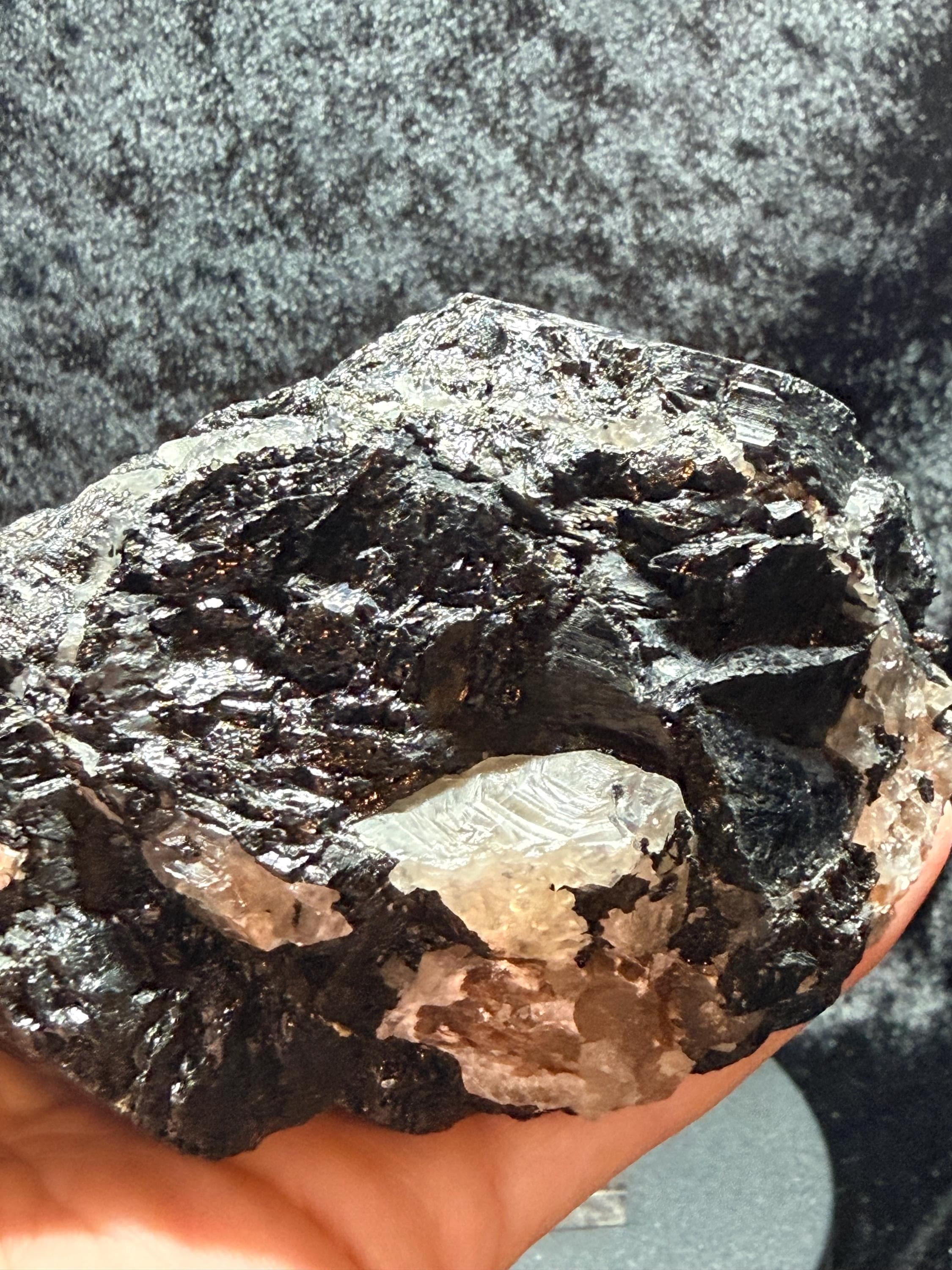 Terminated Black Tourmaline with quartz from Brazil