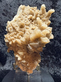 Dog tooth calcite from Mexico