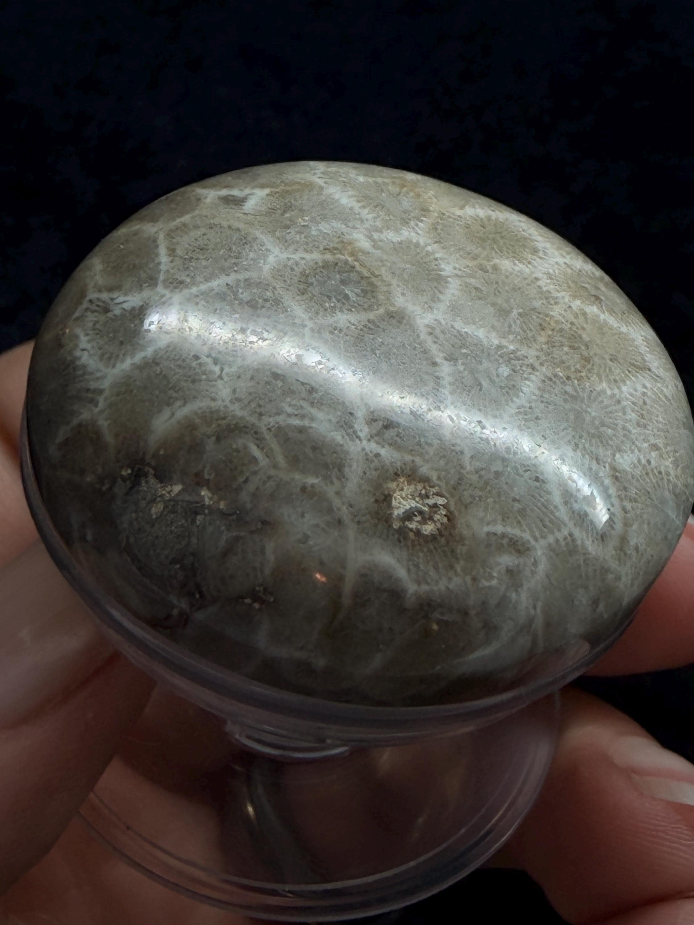 Petoskey stone pop socket