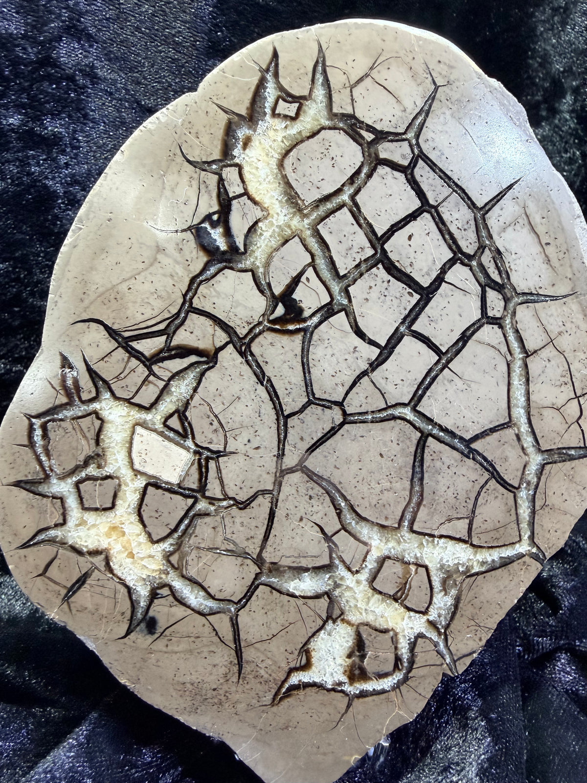 Polished Utah Septarian Nodule Matching Pair - 6.5" Cut Interlocking "Dragon Egg" Display Set (Repaired)