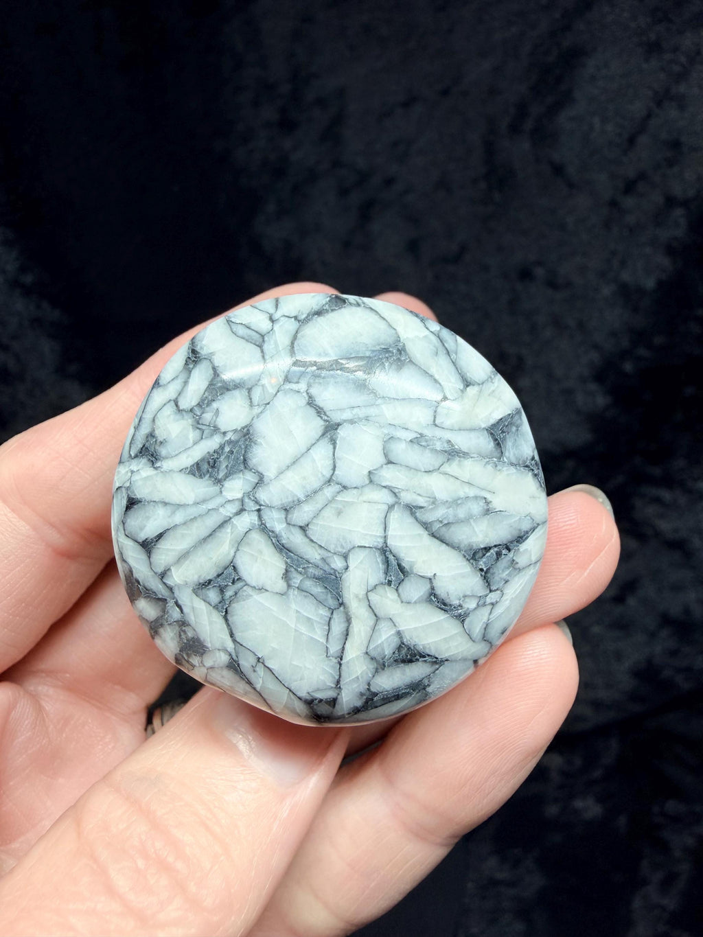 Rare Pinolith pop socket