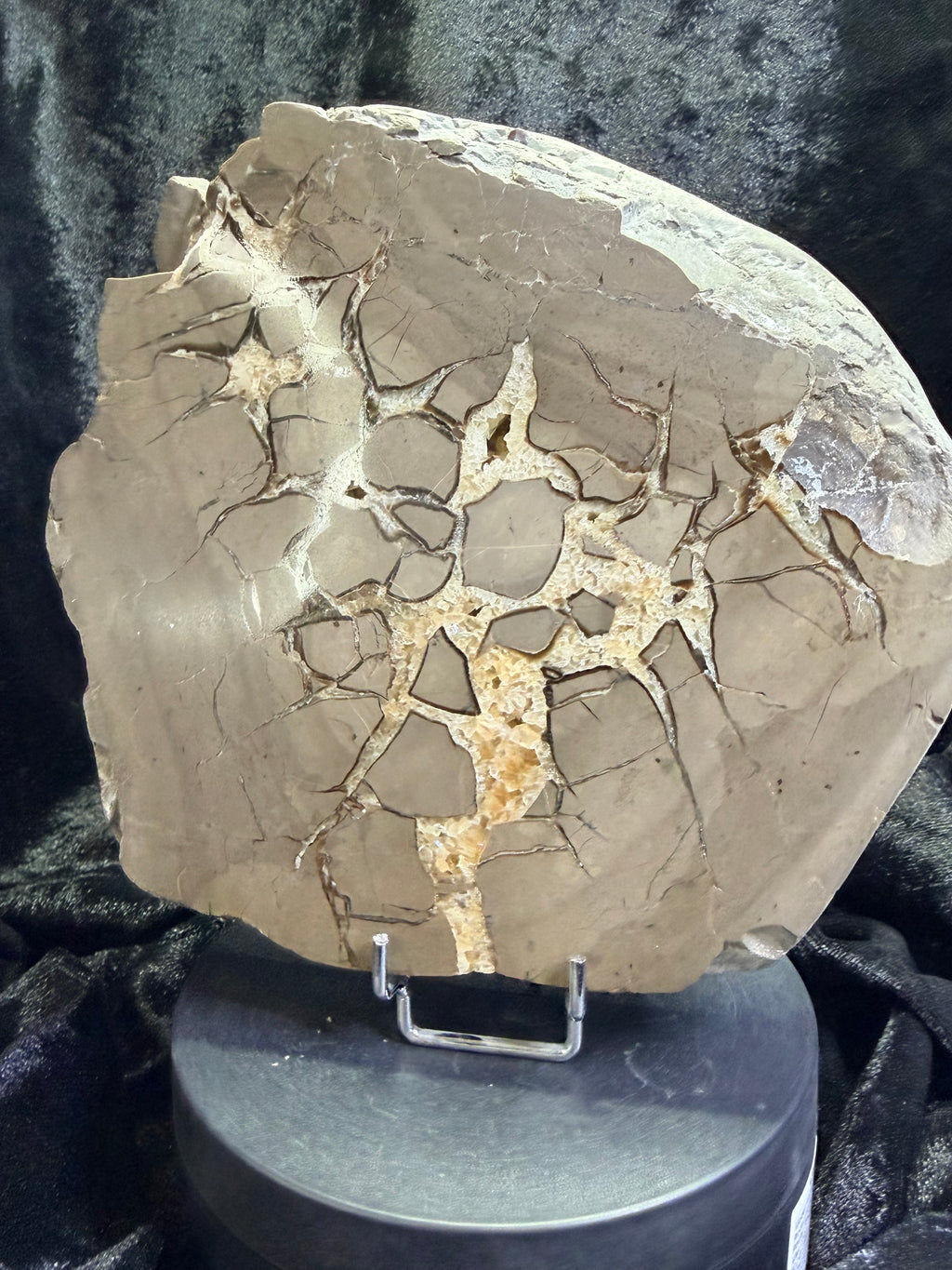 Double-Sided Polished Septarian Slab — Utah, 7.25″