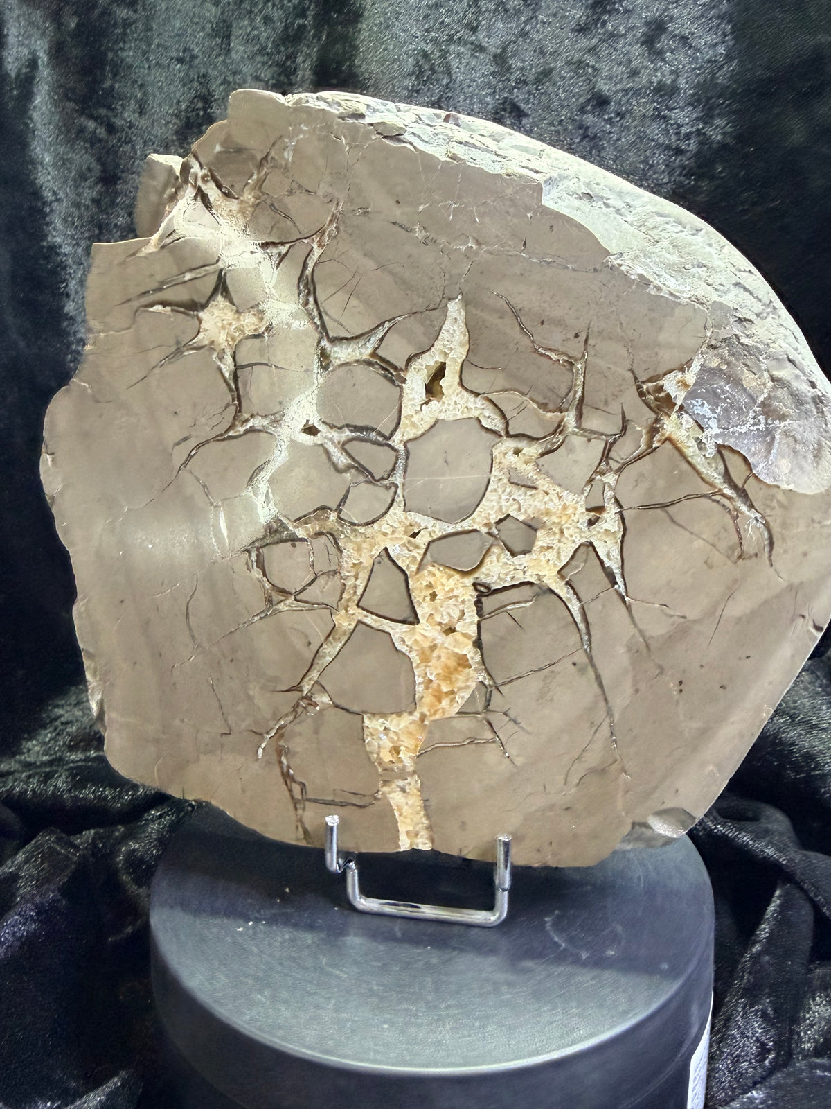 Double-Sided Polished Septarian Slab — Utah, 7.25″