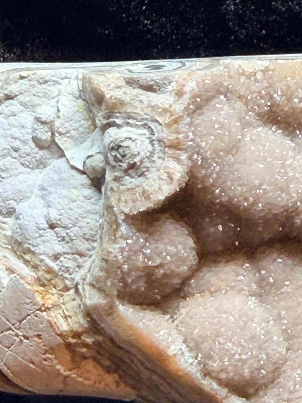 Polished Summerville agate from Patty’s Pit Ga.