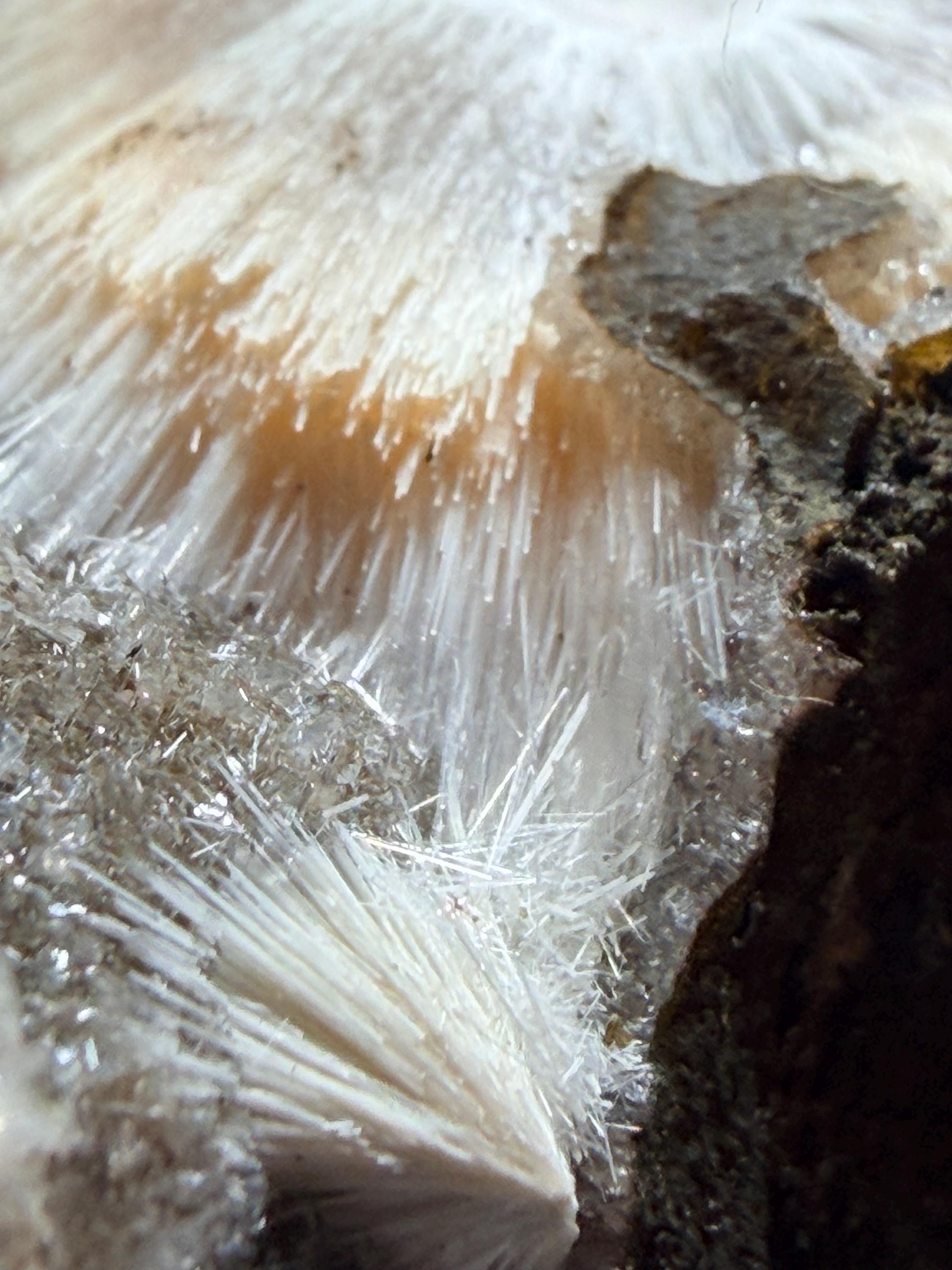 Thomsonite Specimen: Zeolite Mineral