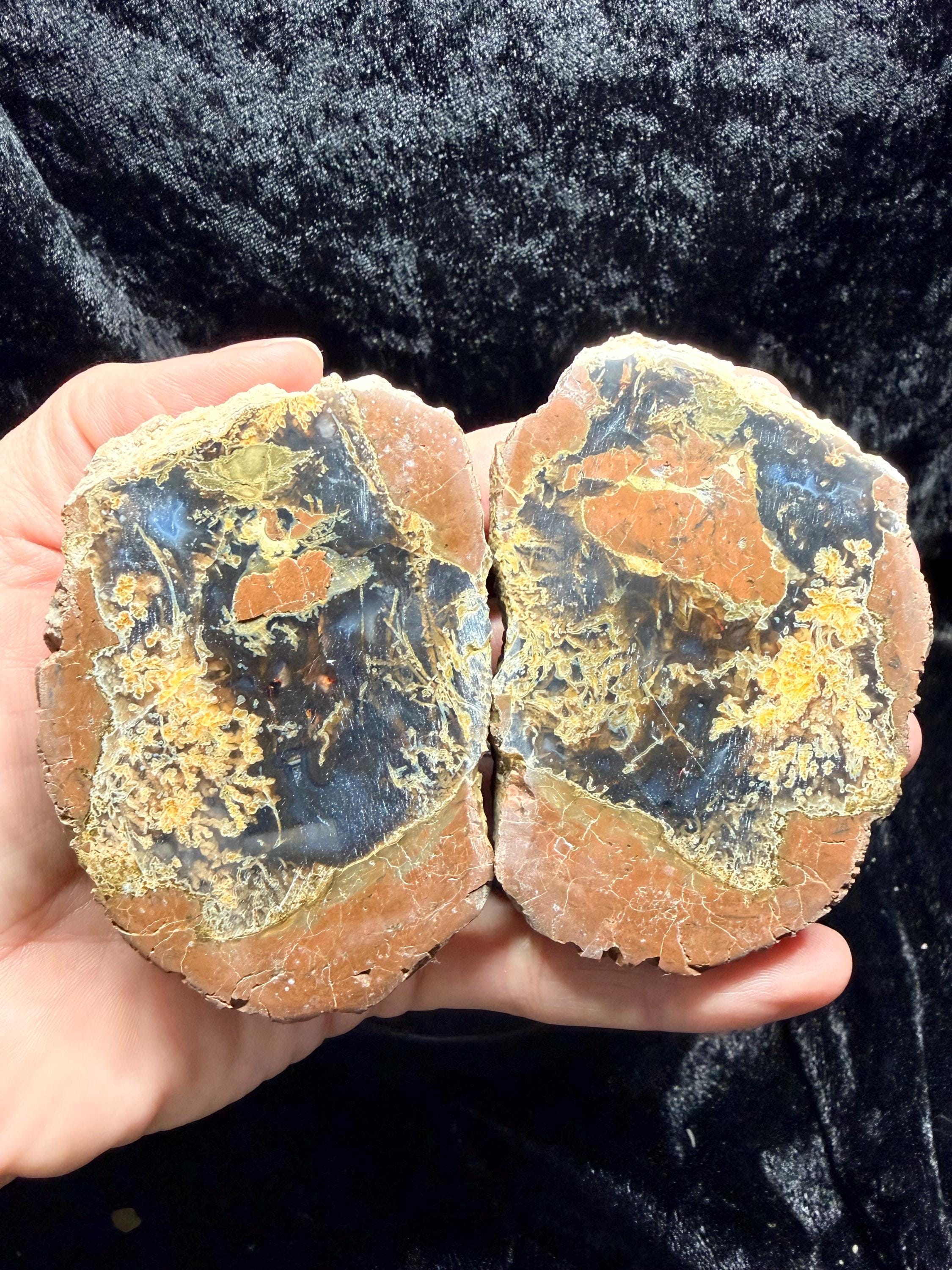 Polished Thunder egg matched pair