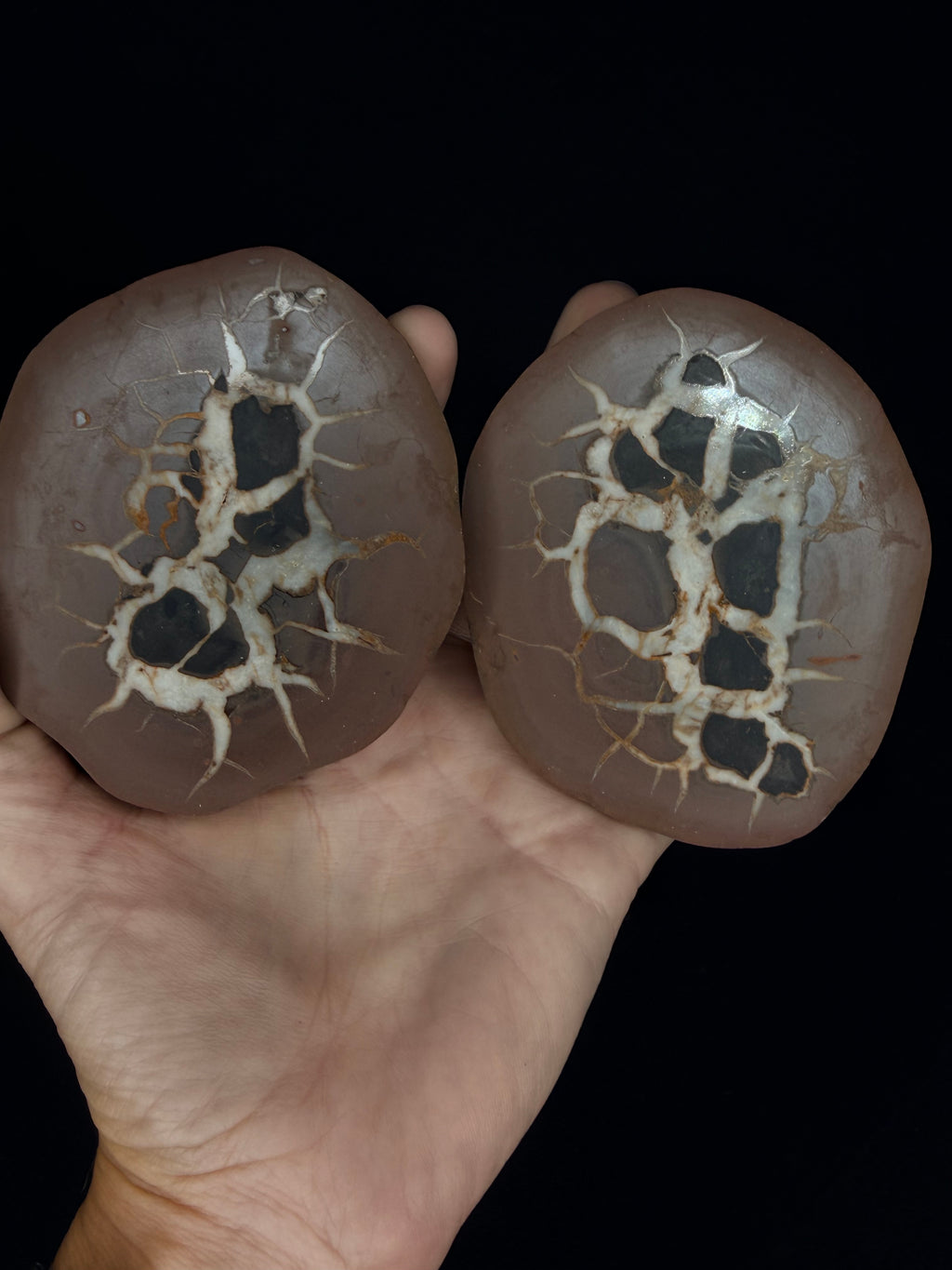 Moroccan Septarian nodule, a.k.a. lightning stone