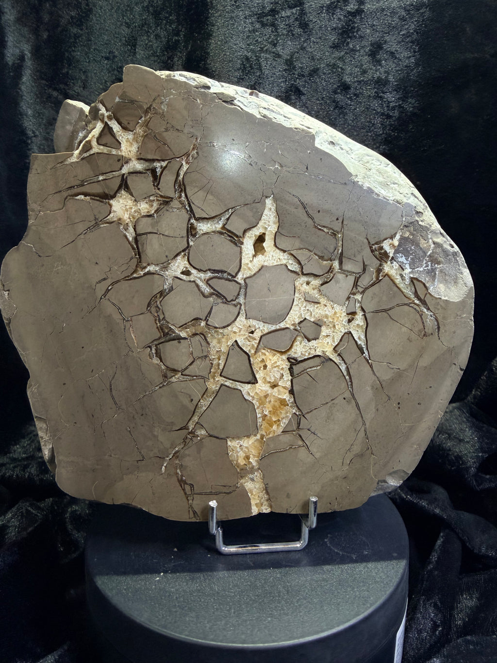 Double-Sided Polished Septarian Slab — Utah, 7.25″