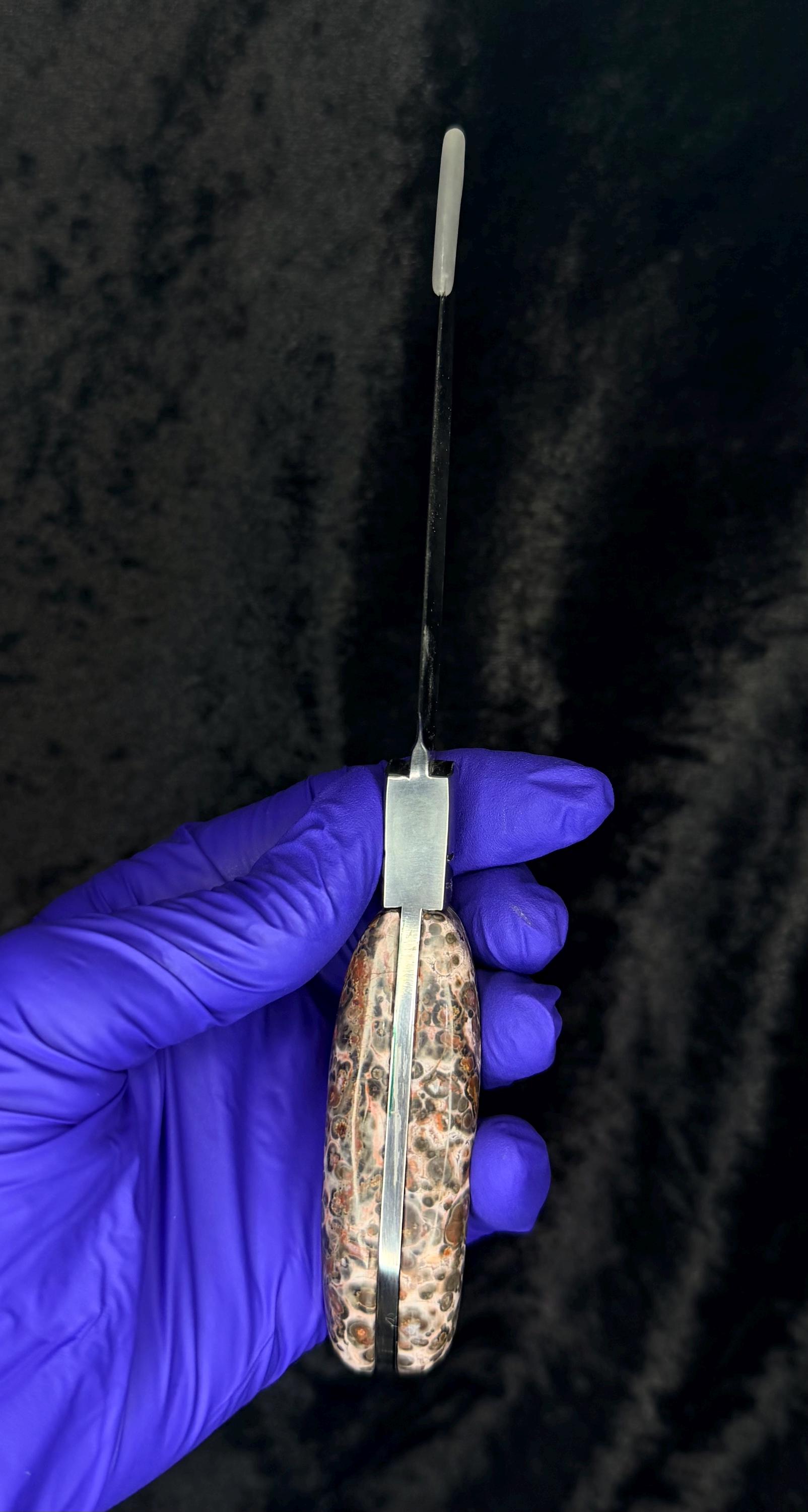Custom Fixed-Blade Knife: Leopard Skin Jasper Handle, Stainless Steel Blade