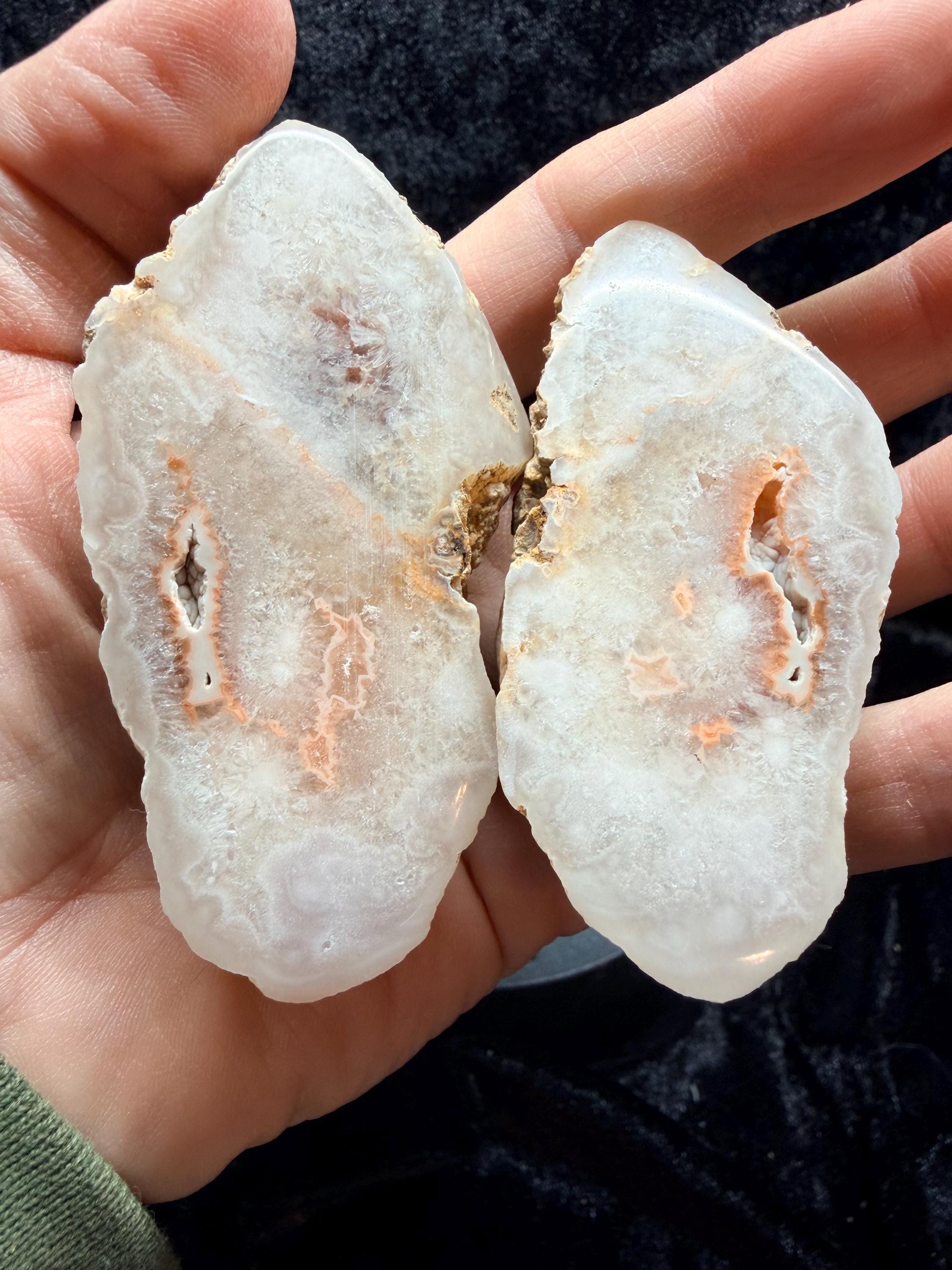 Polished Kentucky Agate / Chalcedony Nodule Matched Pair – Druzy Quartz Cavities