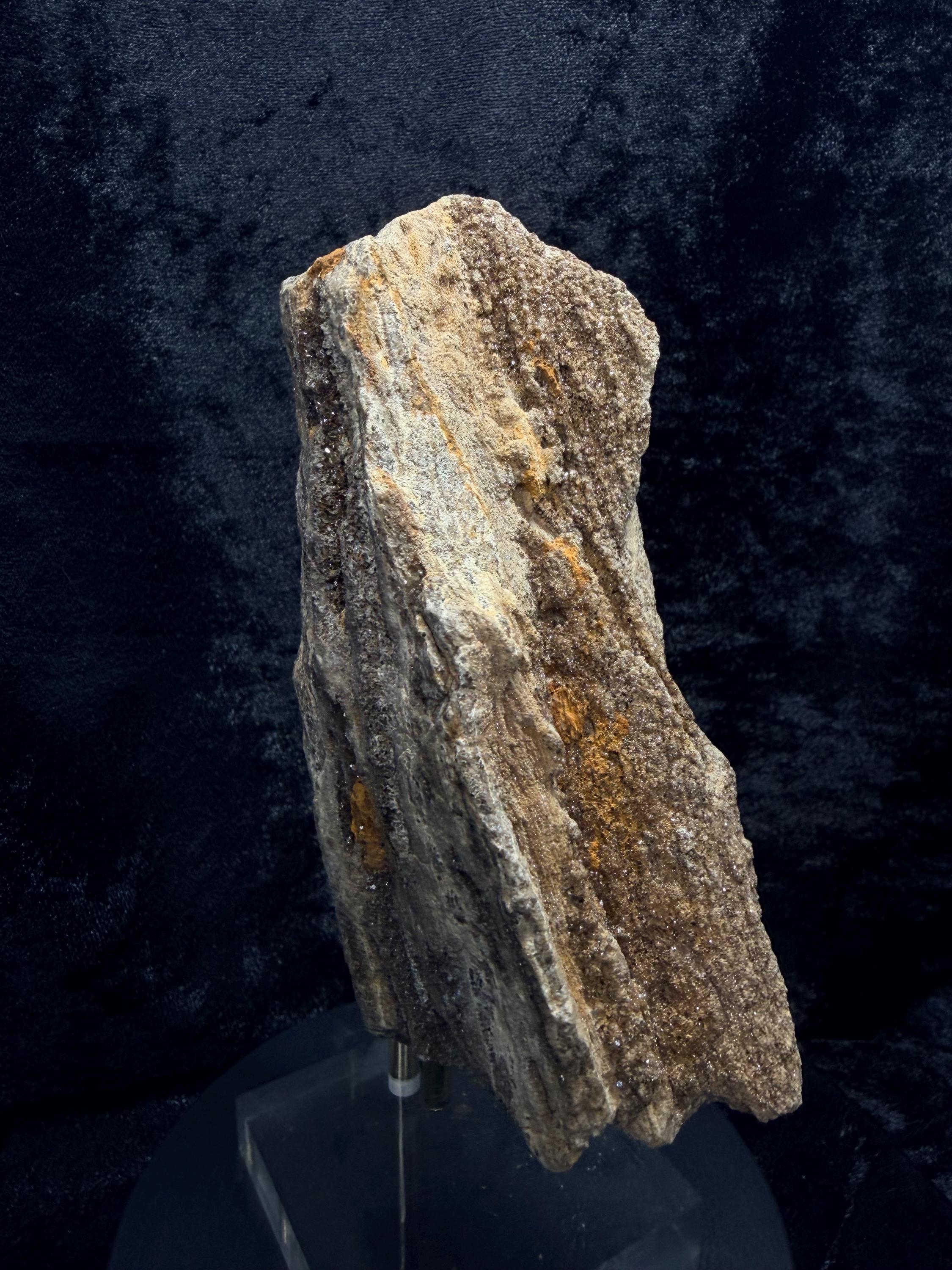 Brilliant Alabama petrified wood with micro druse.