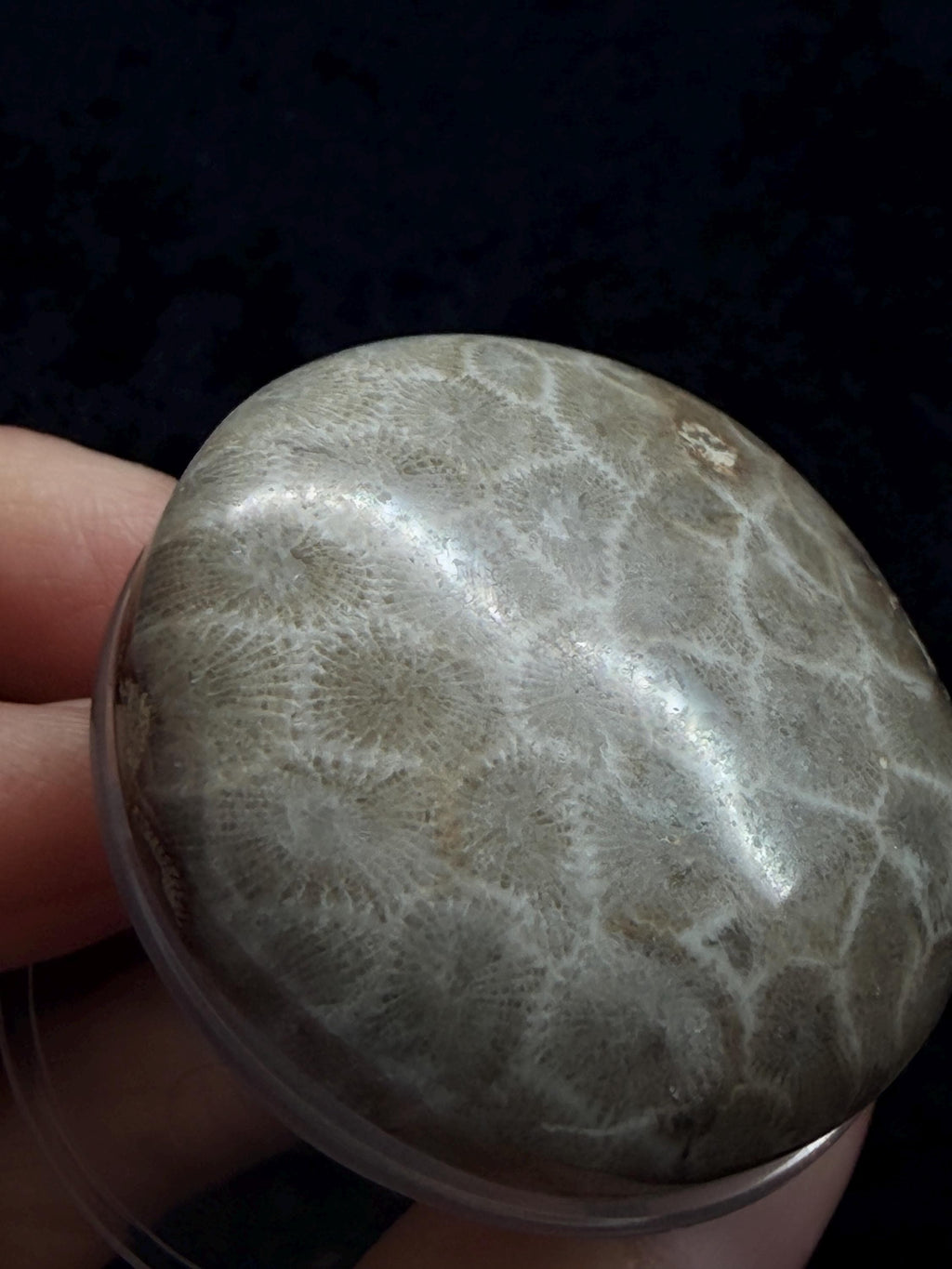 Petoskey stone pop socket