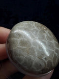 Petoskey stone pop socket
