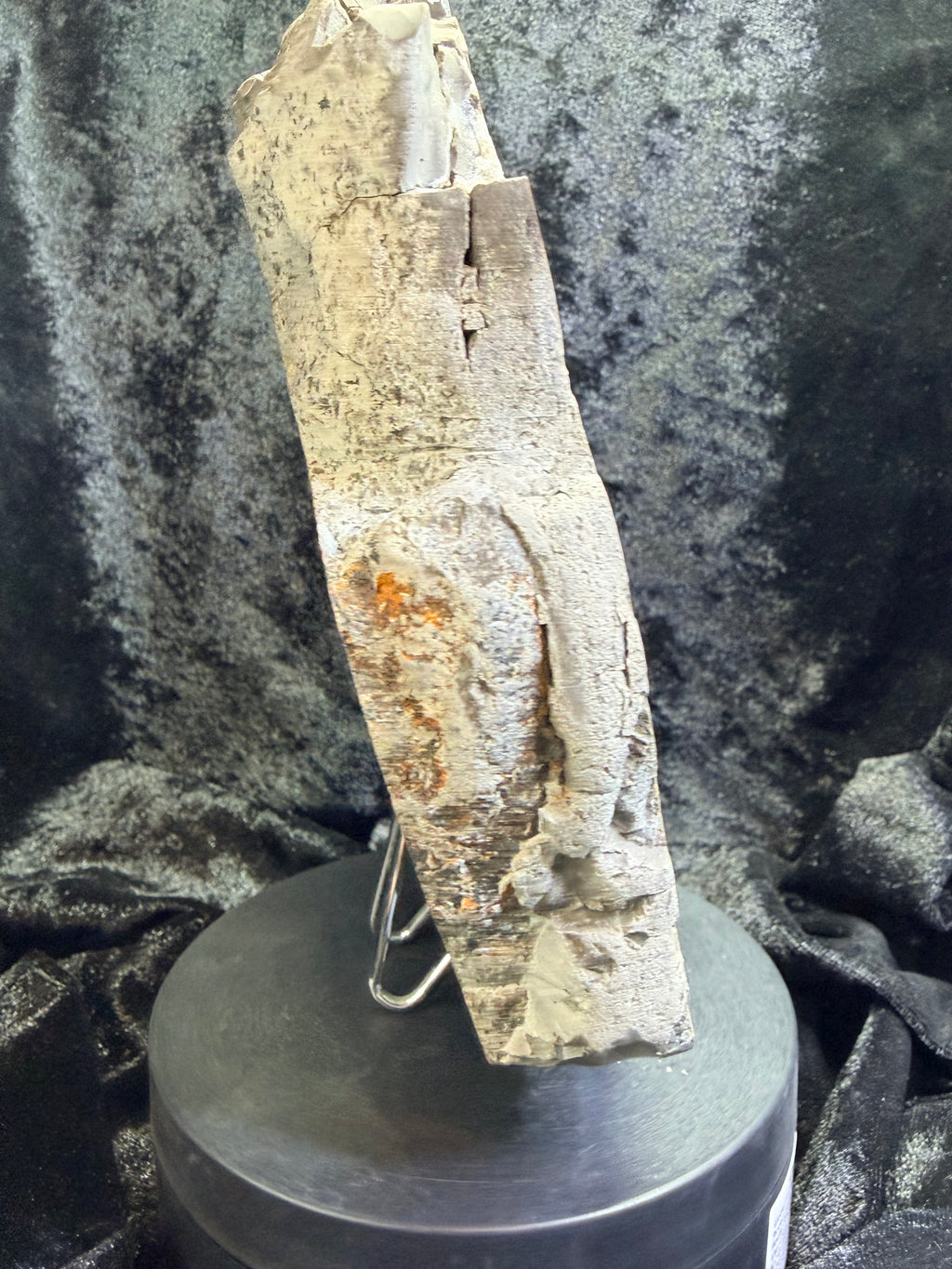 Double-Sided Polished Septarian Slab — Utah, 7.25″