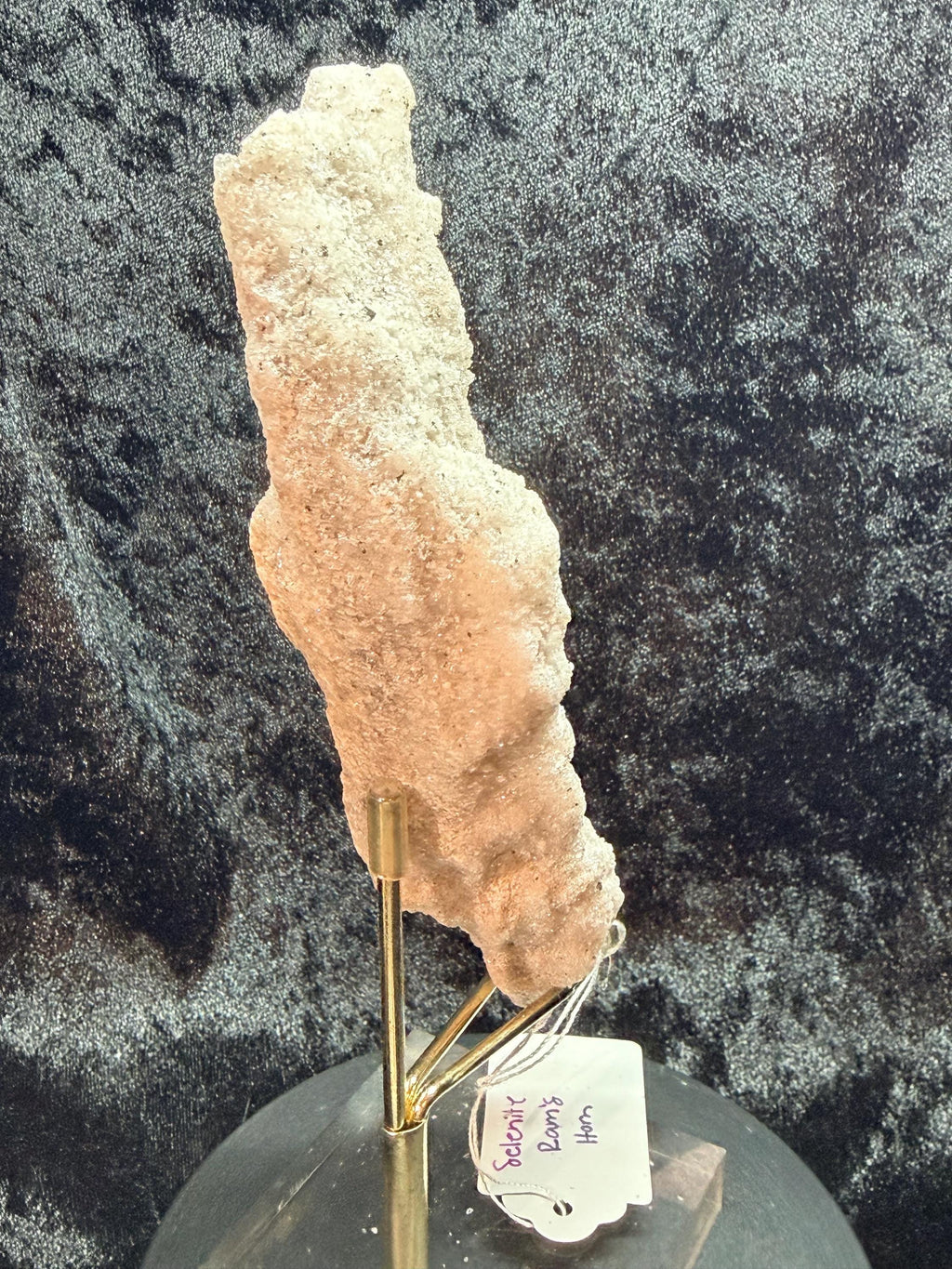 Ram’s Horn Selenite, Morocco.
