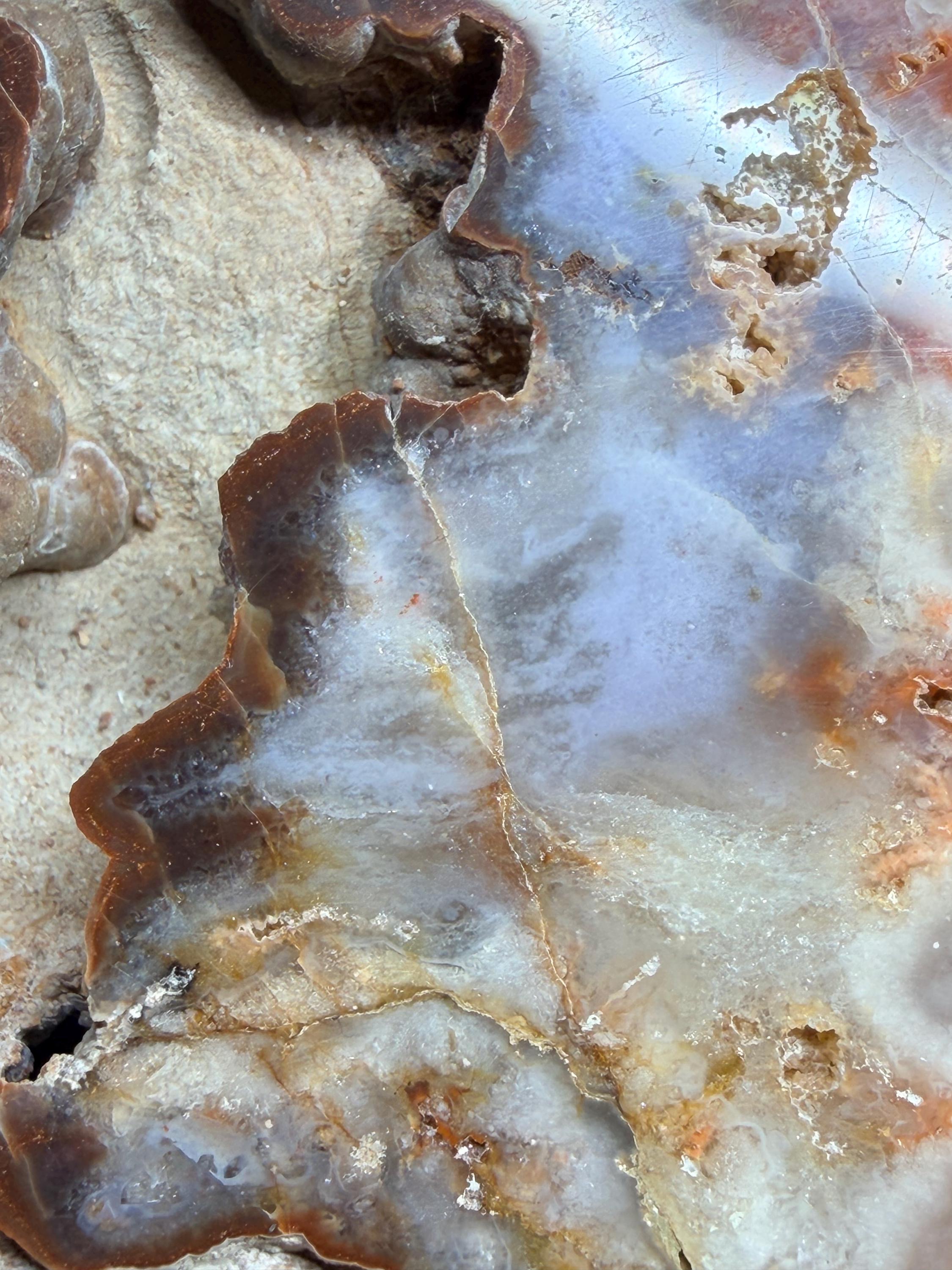 Polished Kentucky agate