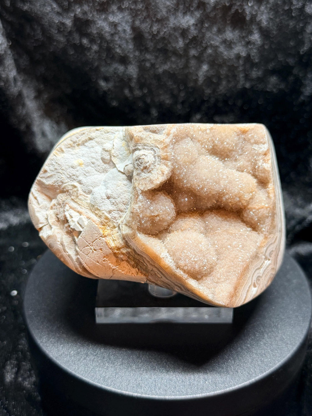 Polished Summerville agate from Patty’s Pit Ga.