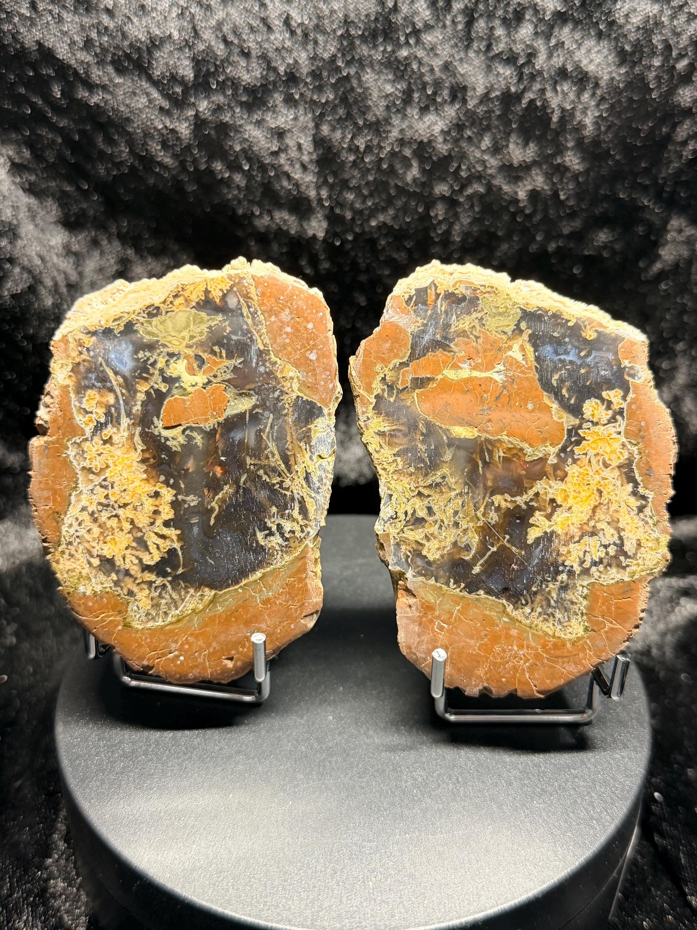Polished Thunder egg matched pair