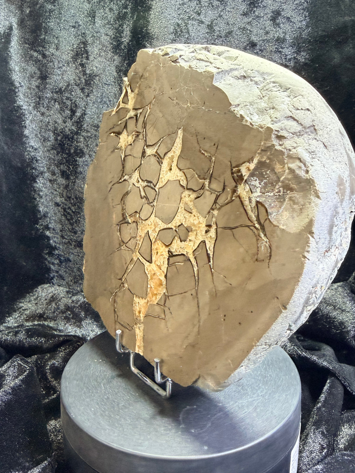 Double-Sided Polished Septarian Slab — Utah, 7.25″