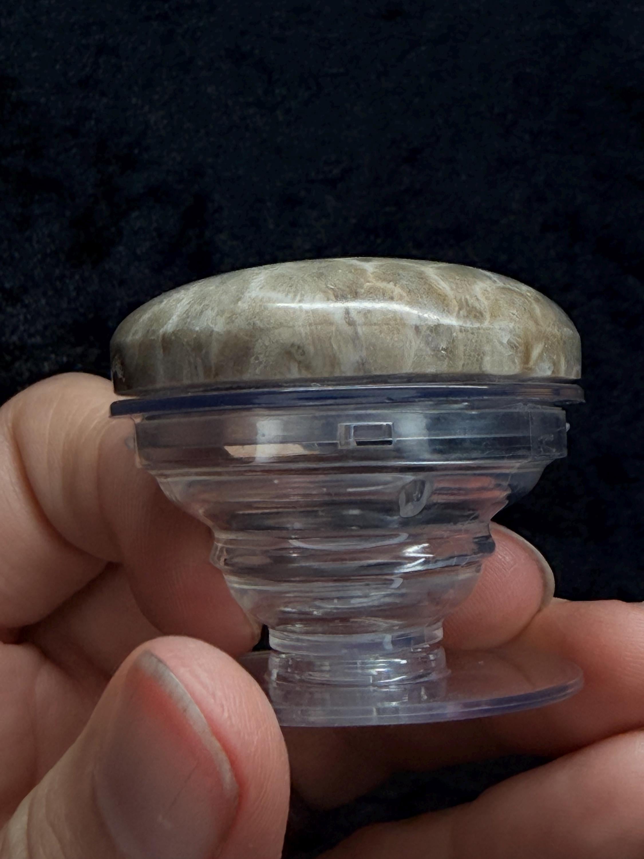 Petoskey stone pop socket