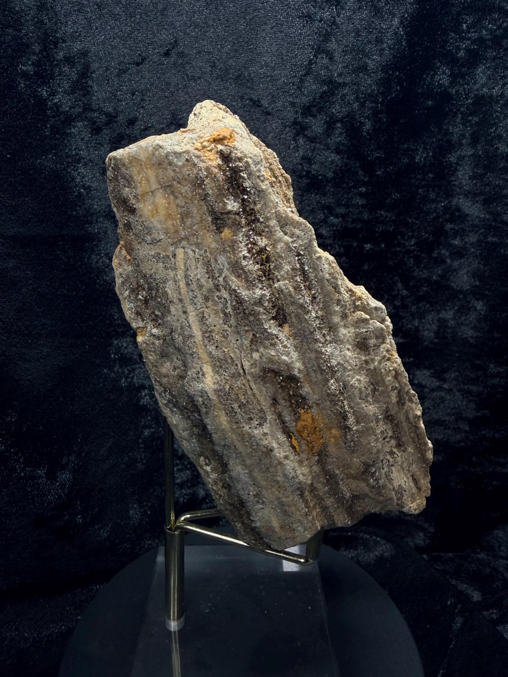 Brilliant Alabama petrified wood with micro druse.