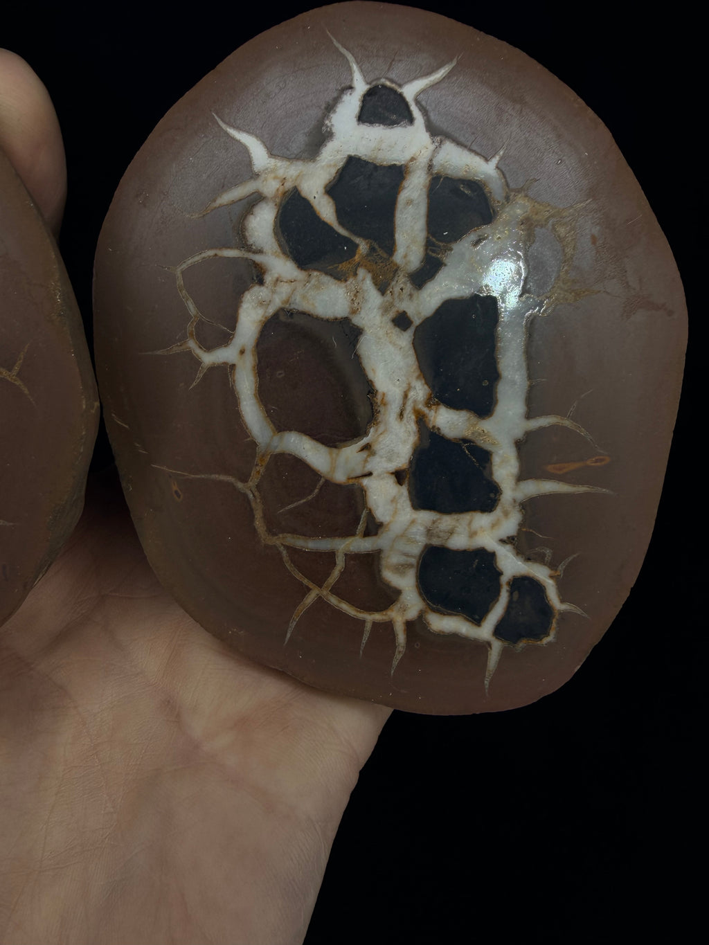 Moroccan Septarian nodule, a.k.a. lightning stone